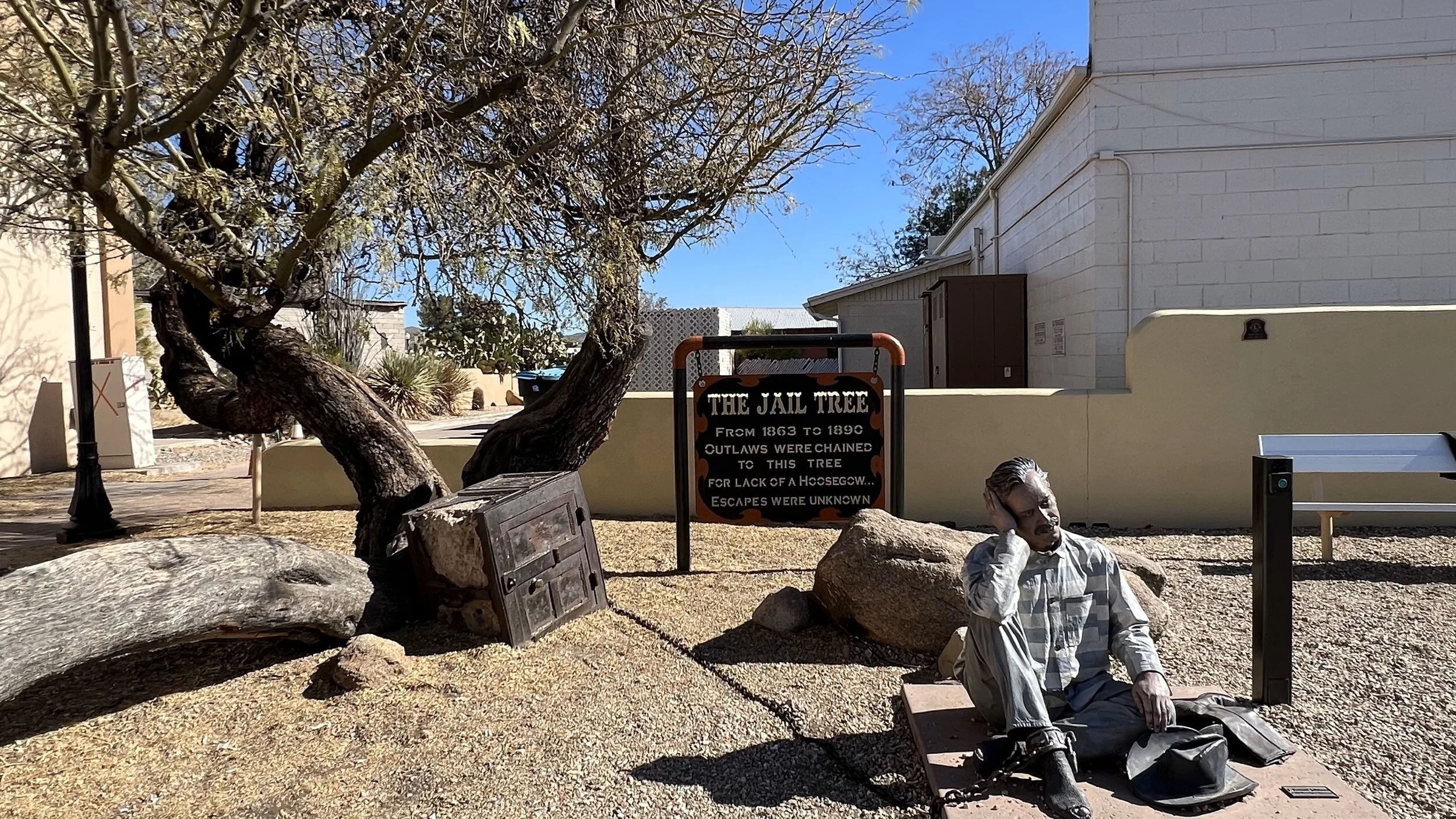 jail tree.jpeg