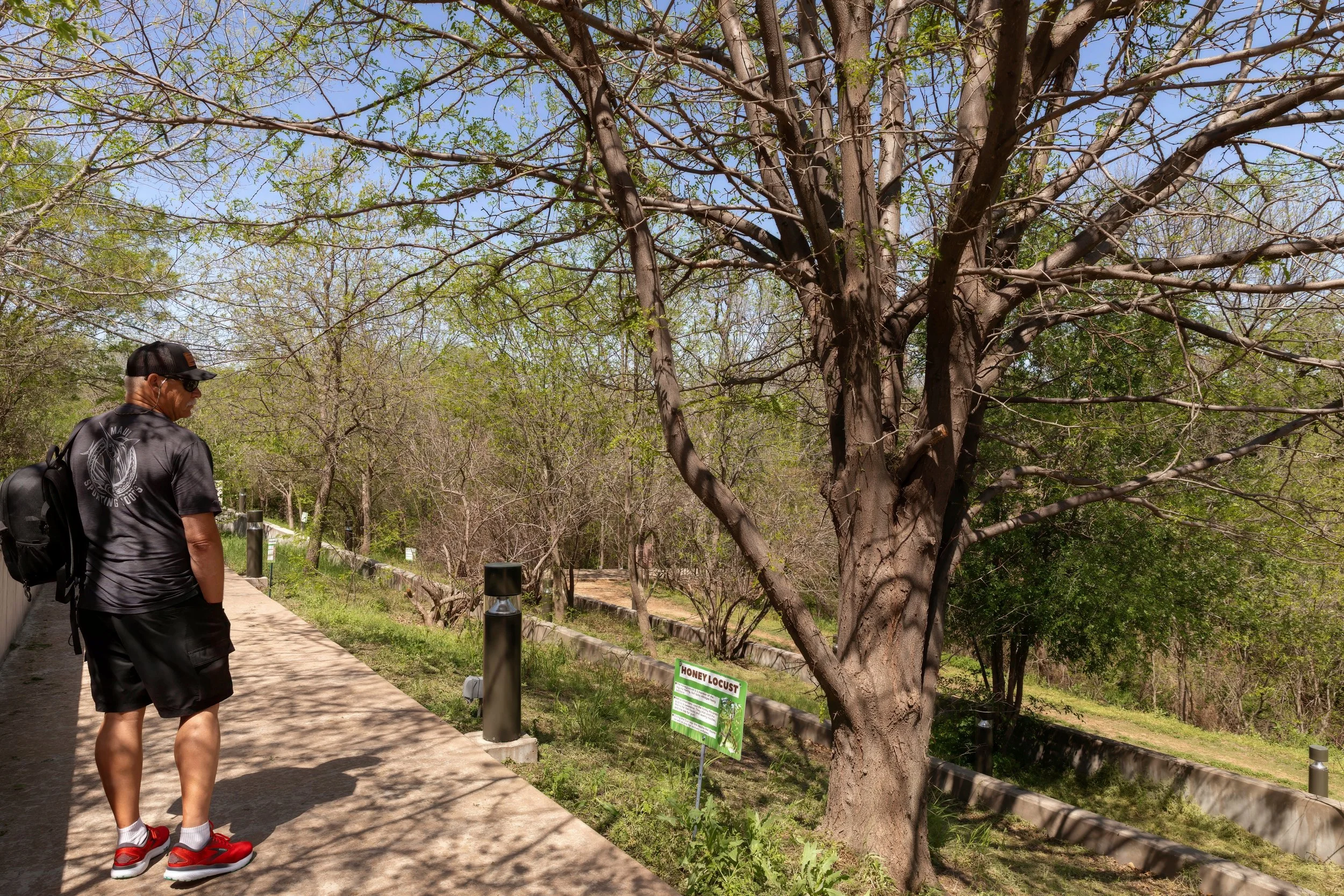 Aaron and Locust Tree.jpg
