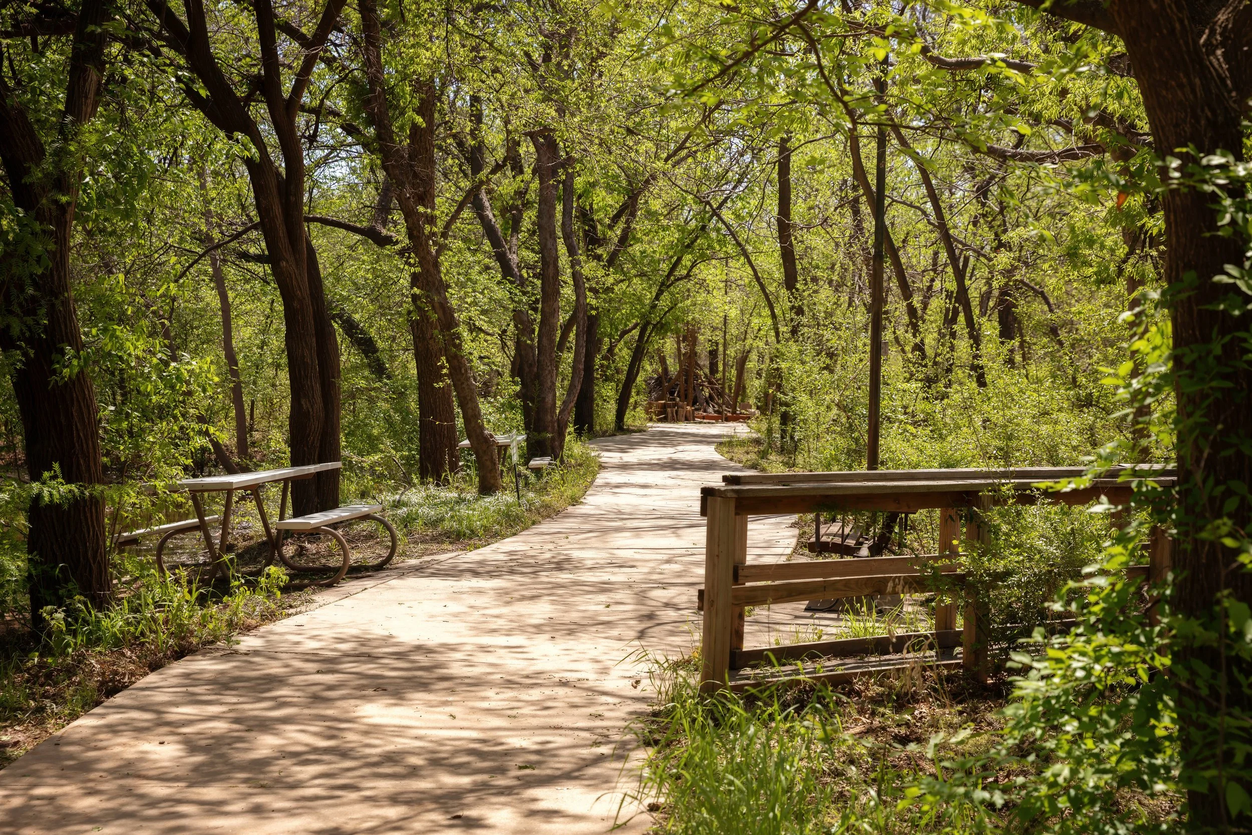 A hike one trail at Riverbend Nature Center.