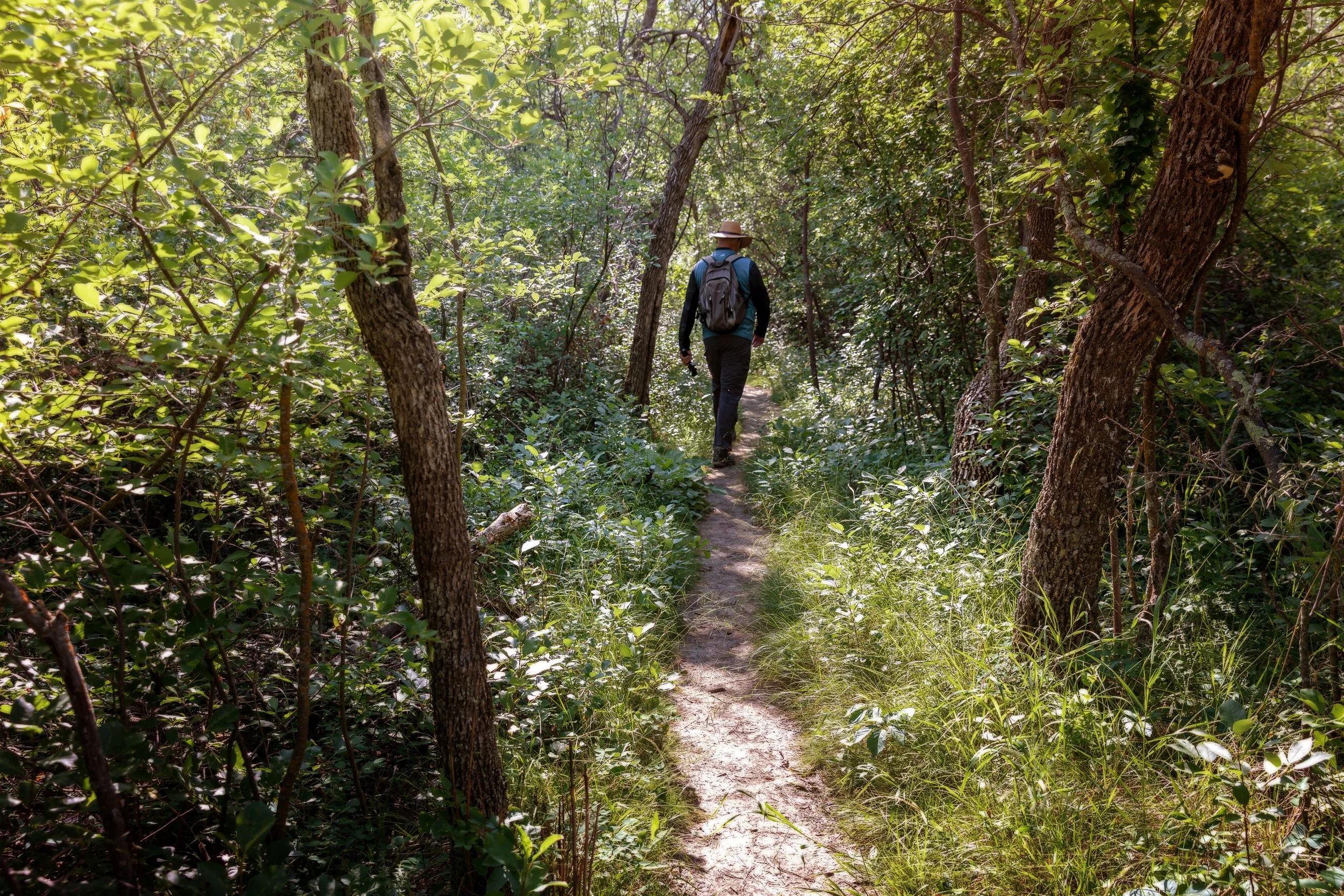 A Week Exploration of Teddy Roosevelt National Park