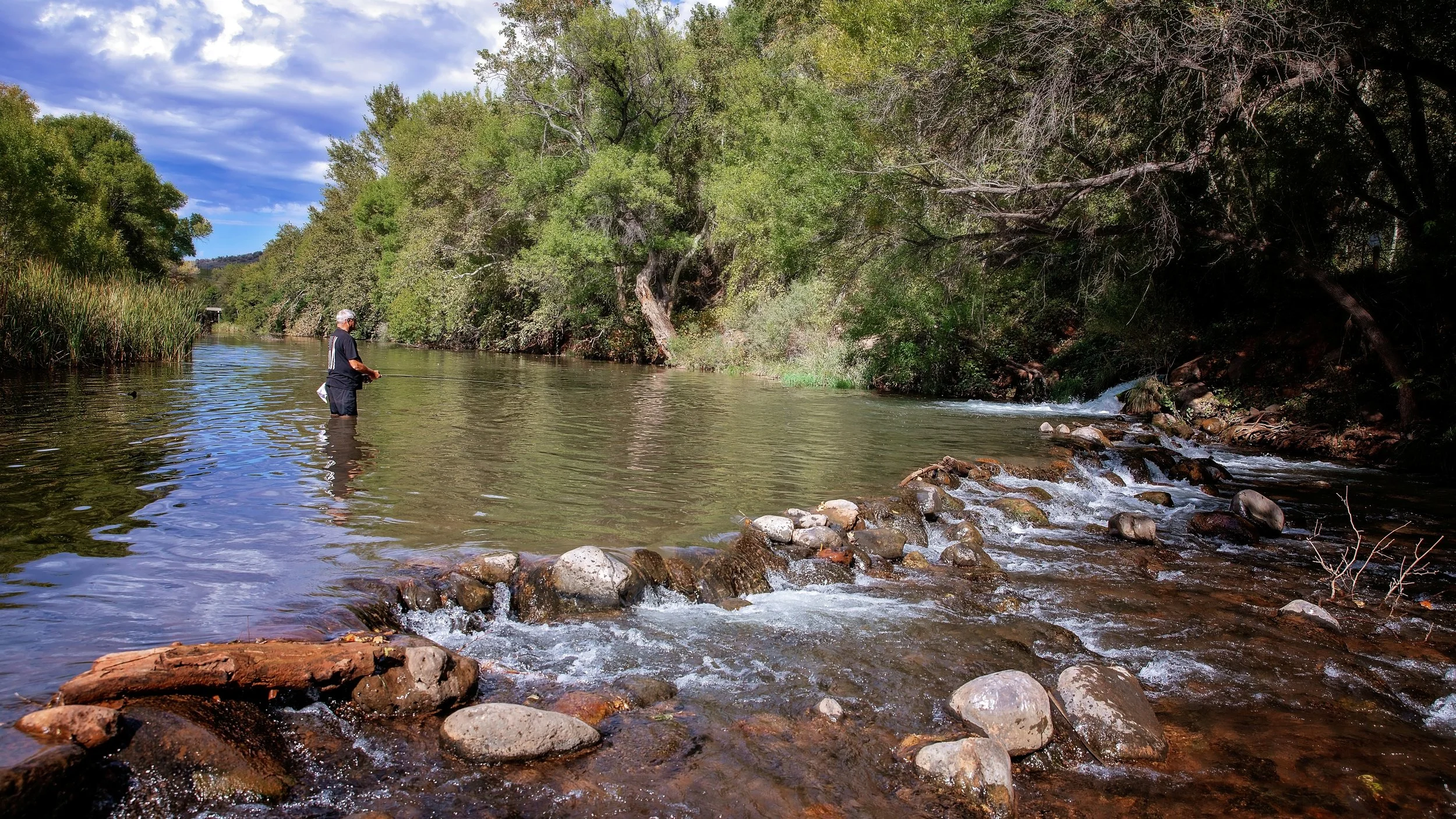 Upstream.jpg