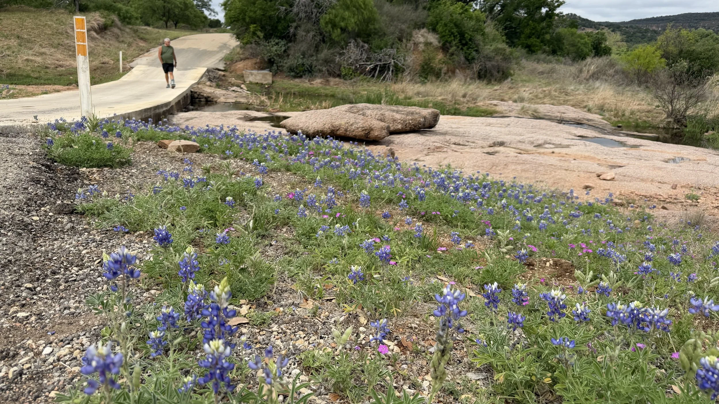 blue.jpeg
