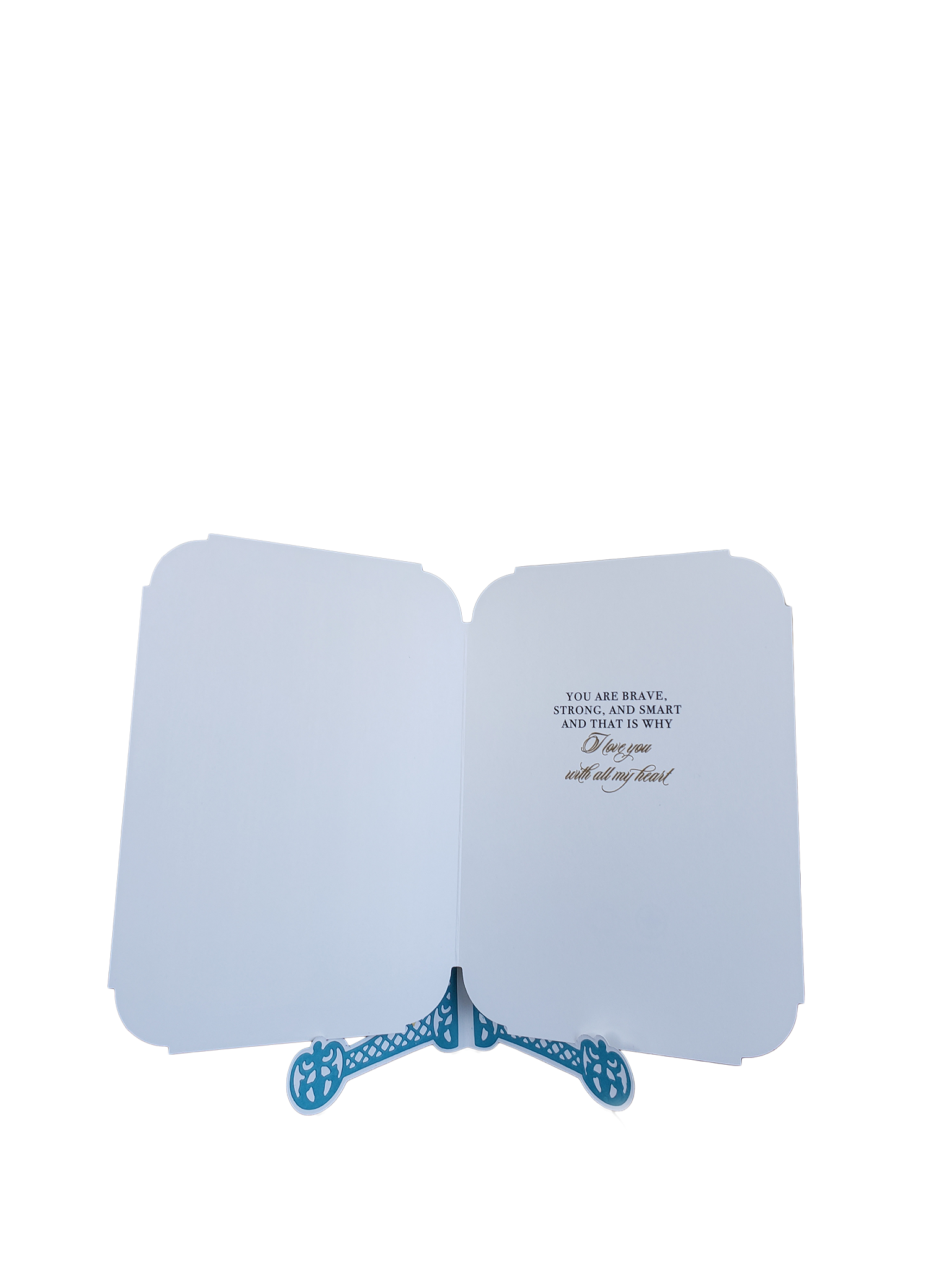 male fd card inside.png