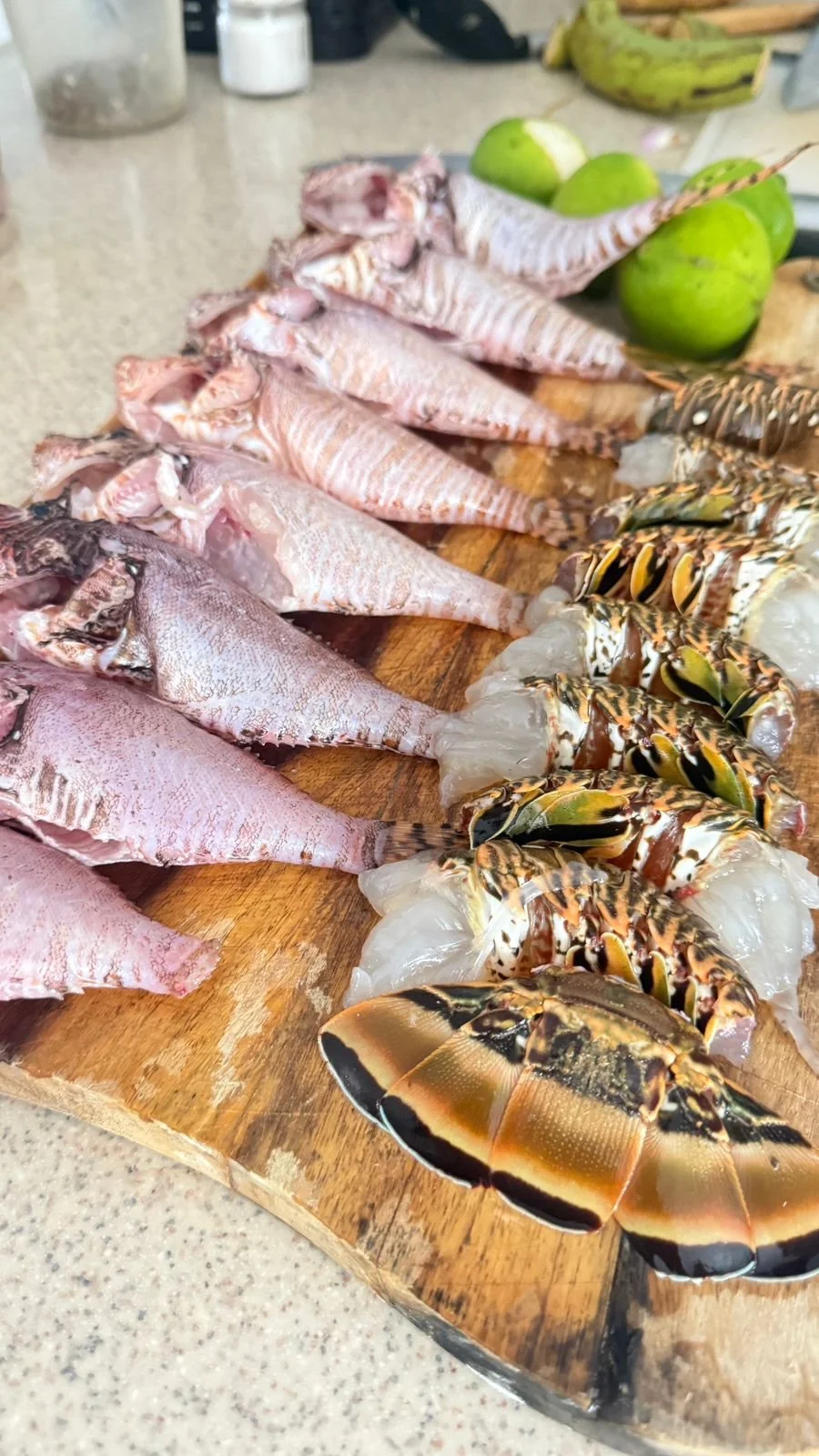 Jose Spearfish - 10.jpeg