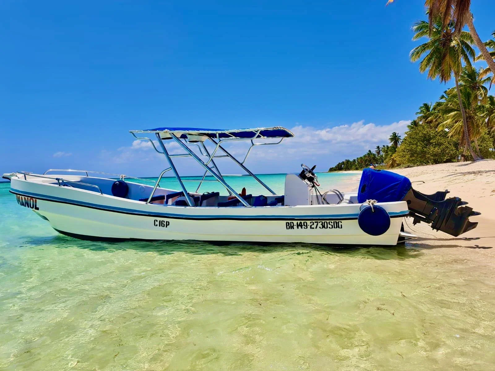 Dario Saona - 1.jpeg