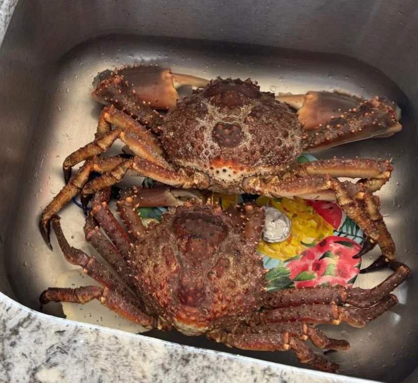 Jose Spearfish - 9.jpeg