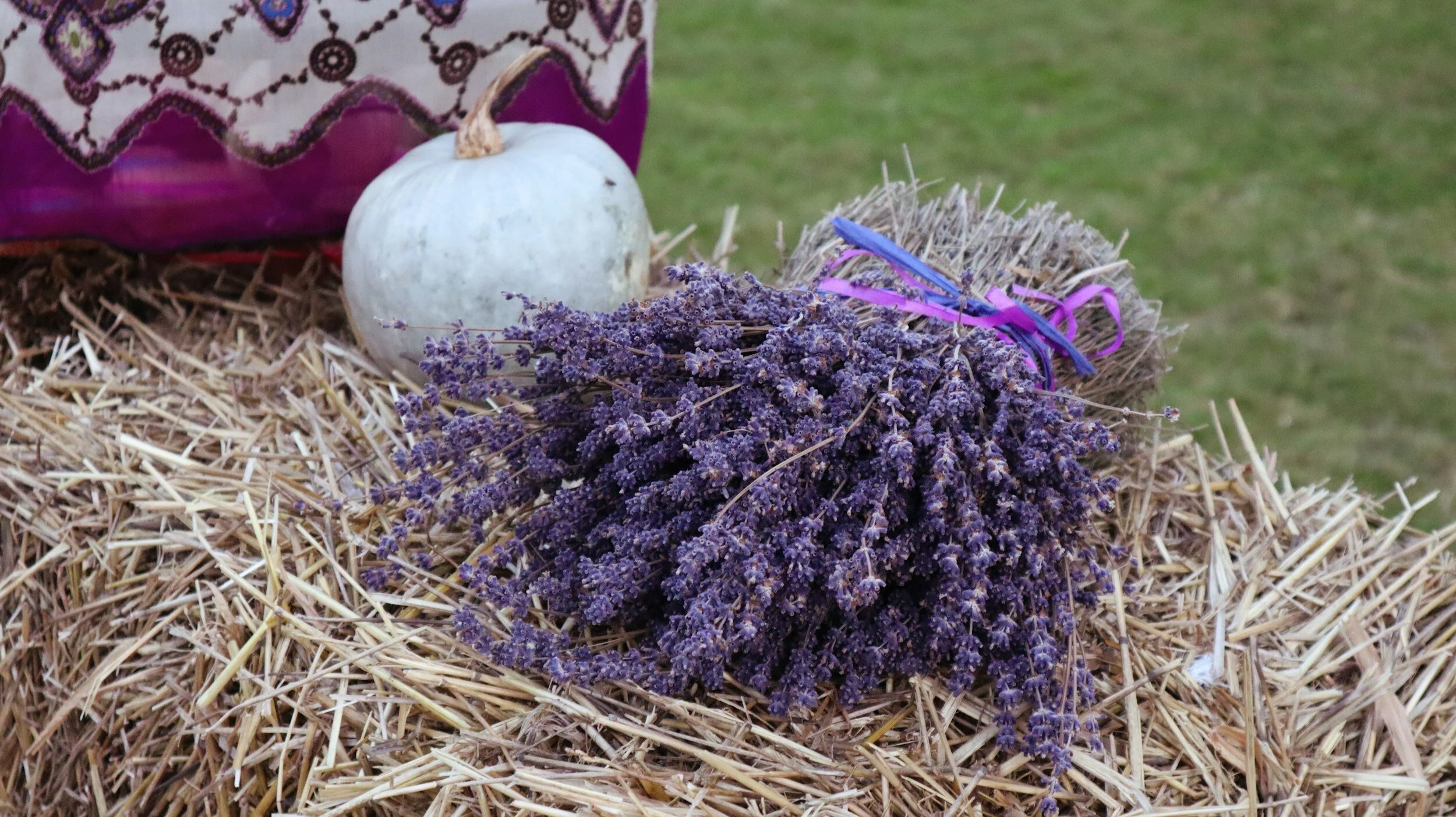 Can Linalool Help you Relax 