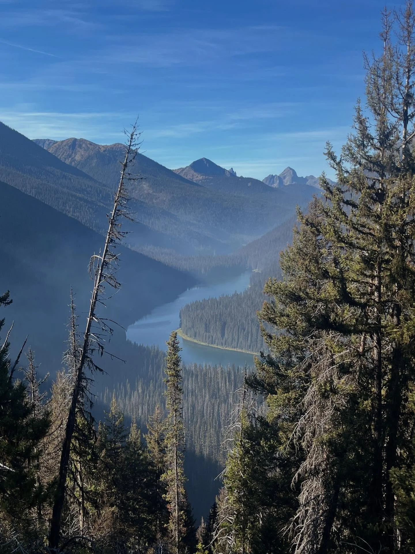 Had an epic hike up Mt Frosty yesterday with @gracie_ontop_of_the_world. For a couple weeks you can see the golden larches, which go from green to a vibrant yellow gold. My legs are sore today, but so good to get out in nature. #naturelover #hiking #