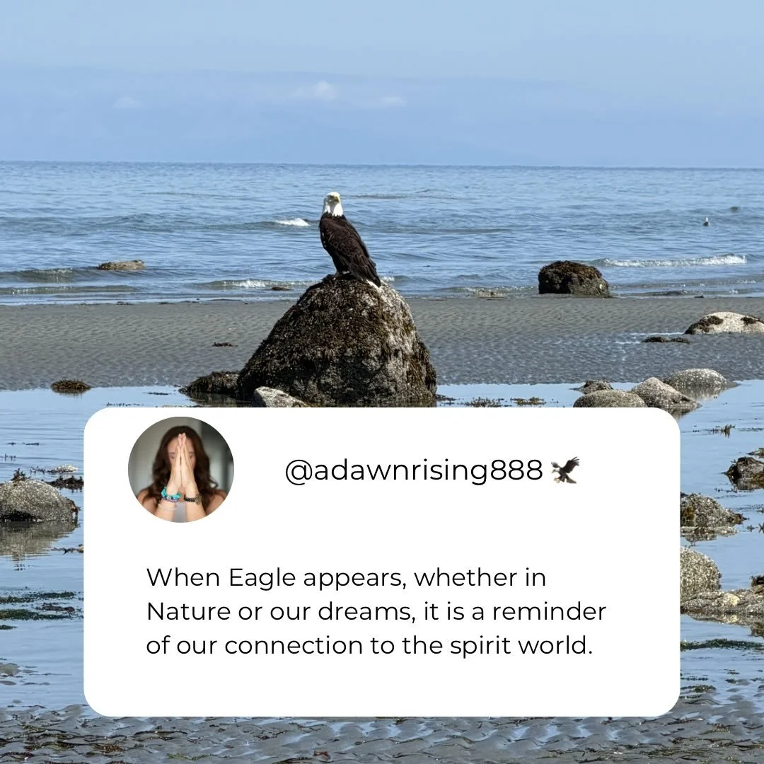 I have been seeing a lot of Eagles lately. Clearly I am in need of some Eagle medicine. Anyone else? 

Eagles fly the highest of any bird. They are believed to take our prayers to Creator. When you are in need of a higher vision, perspective, Eagle c