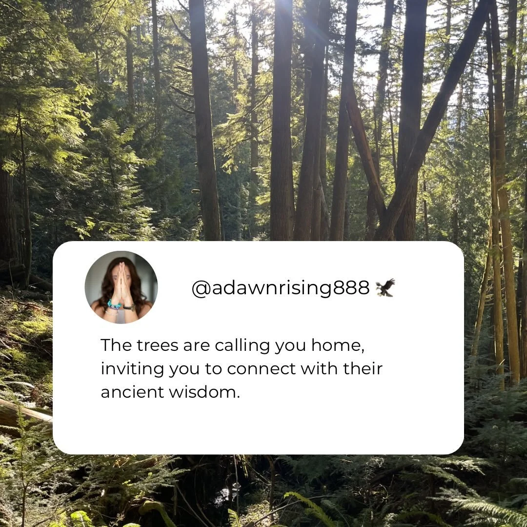 The world is a lot right now. When I need to ground myself, release stress, and remember all that is good in the world again. I get outside. It&rsquo;s a time to unplug and connect with the Creator, which can easily be found amongst the flowers, the 