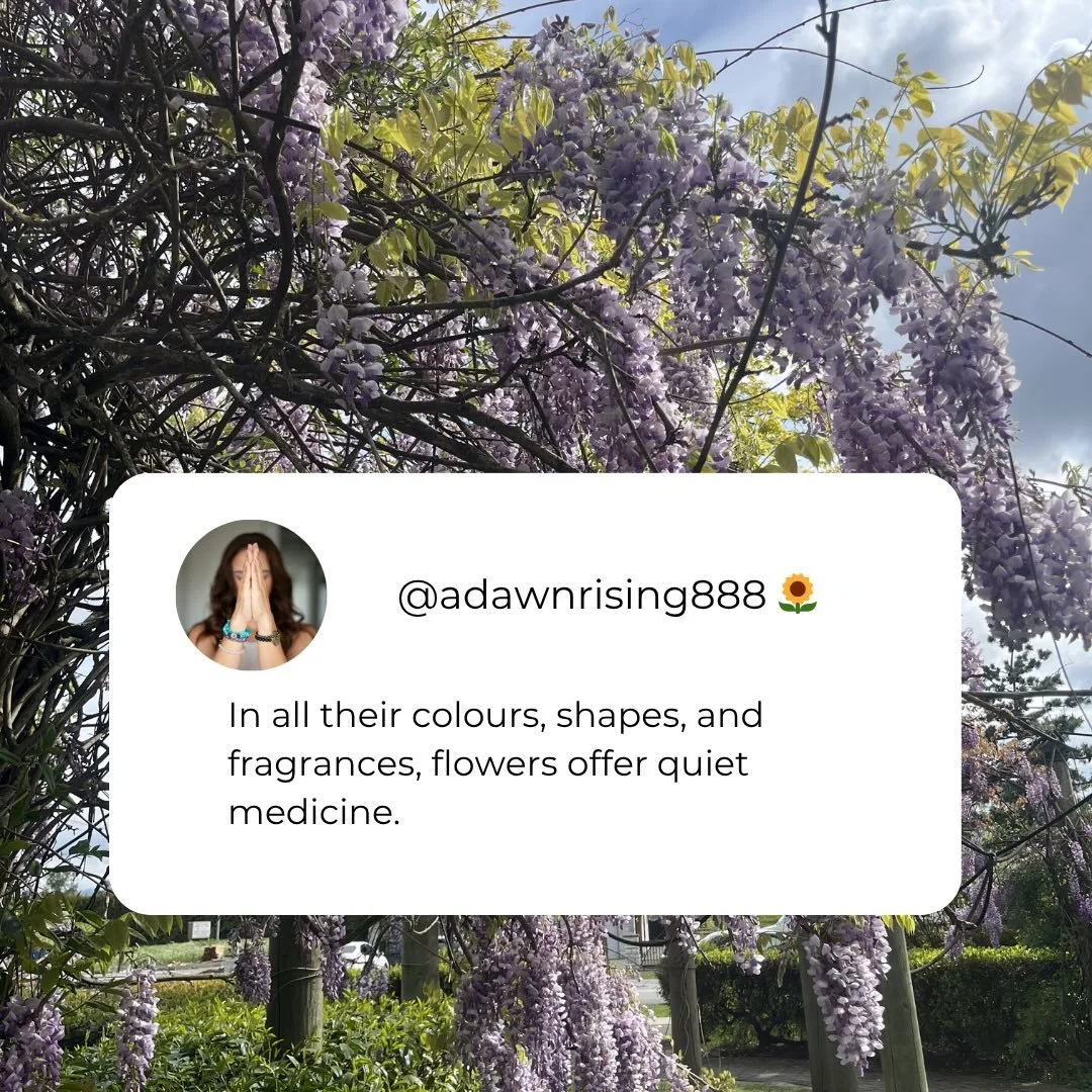 I hope that you have had an opportunity to get outside and appreciate the beauty in bloom all around you right now. Some flowers are coming to the end of their Season and you don&rsquo;t want to miss out. #flowers #flowerlover #mothernature #creator 