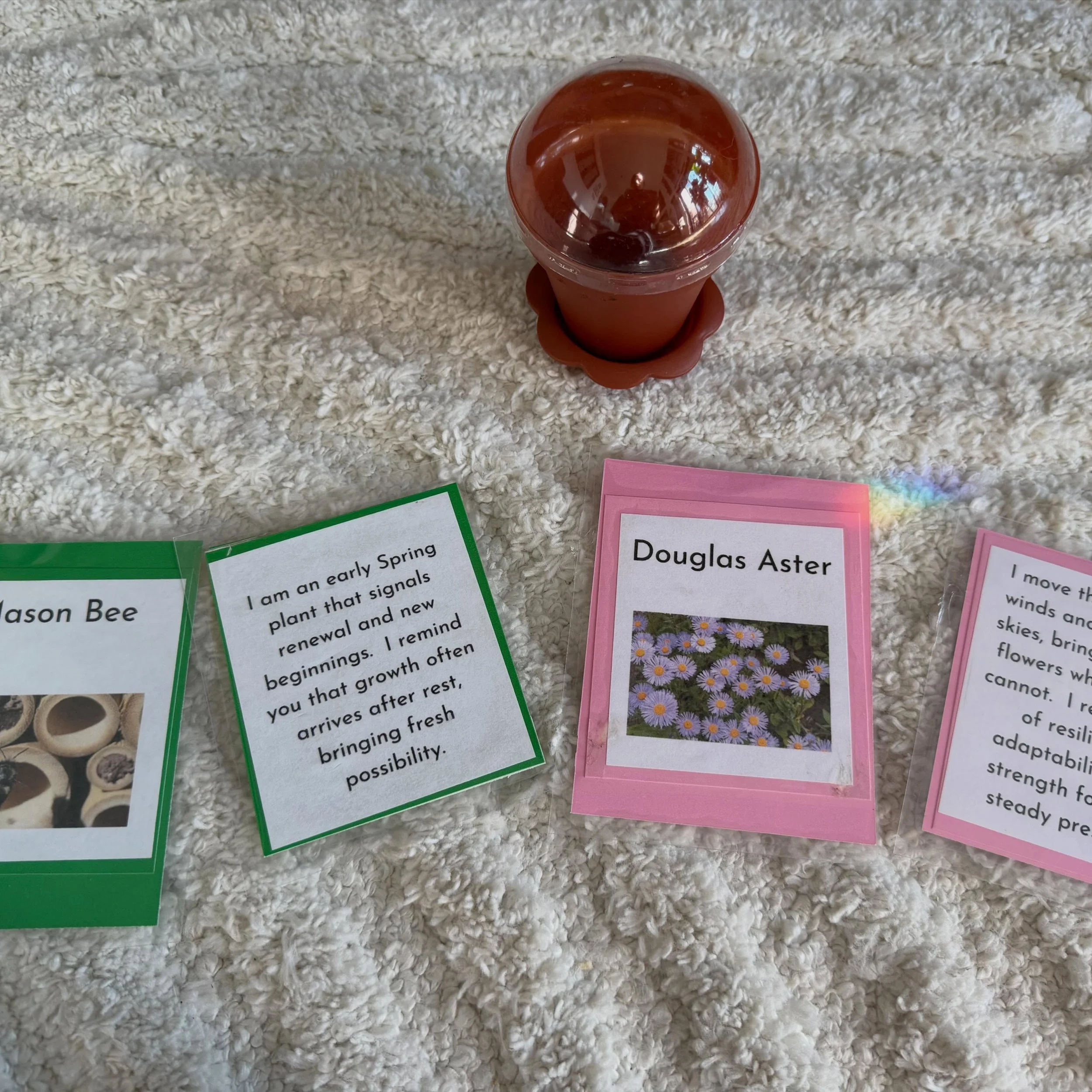 @holisticpeace and I are bringing you a Tea &amp; Tarot on June 14 from 1 PM to 5 PM @malarys Community Hub. 

There will be a pollinator station where you get to take home a mini planter. There will be some seeds available thanks to @westcoastseeds 