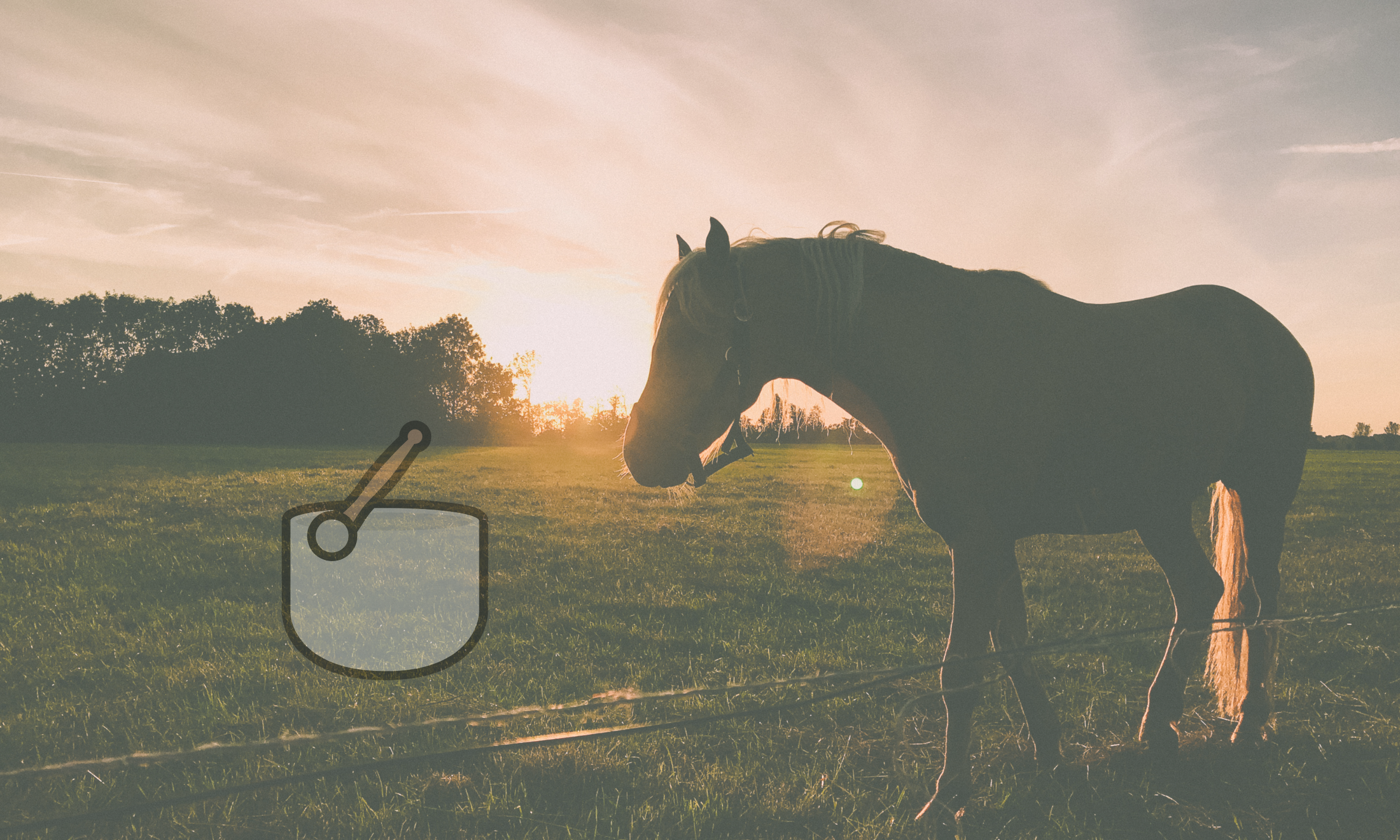 Sound Bath for Grief with Horses