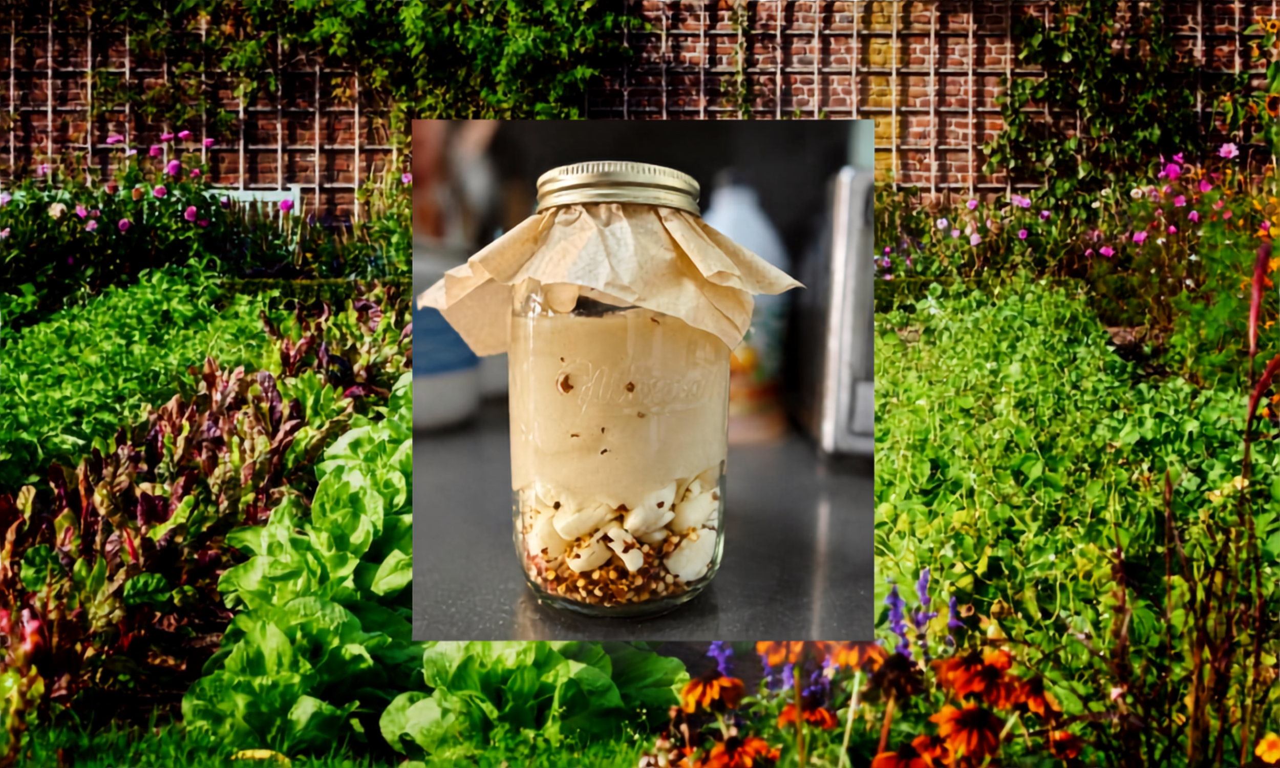 Recipe &amp; Benefits: Fermented Hot Garlic Honey