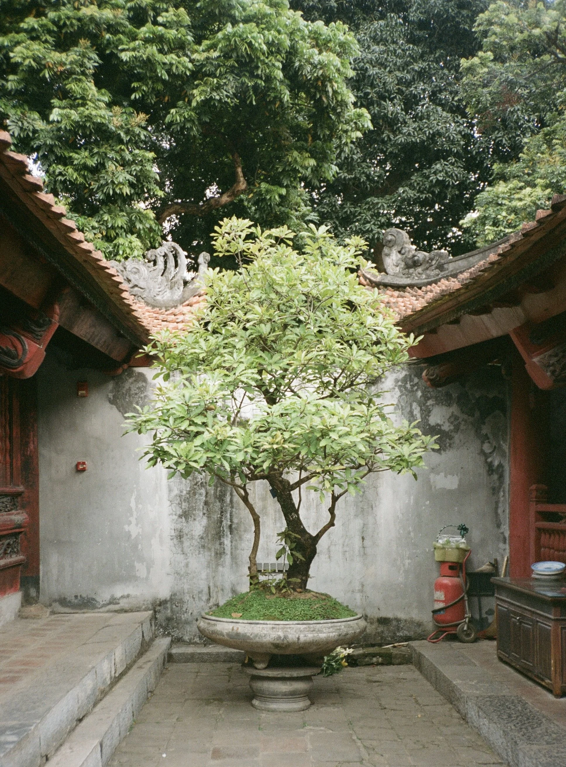 Temple of Literature - Hanoi, Vietnam.