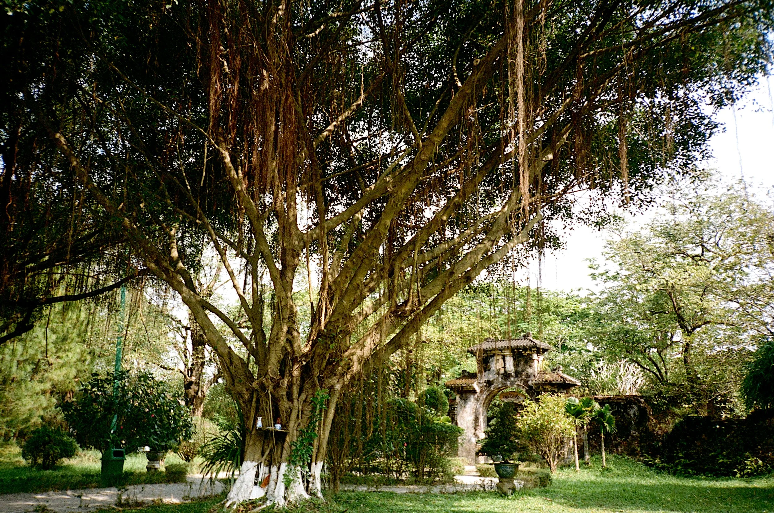 Hue Imperial City Garden – Hue, Vietnam.