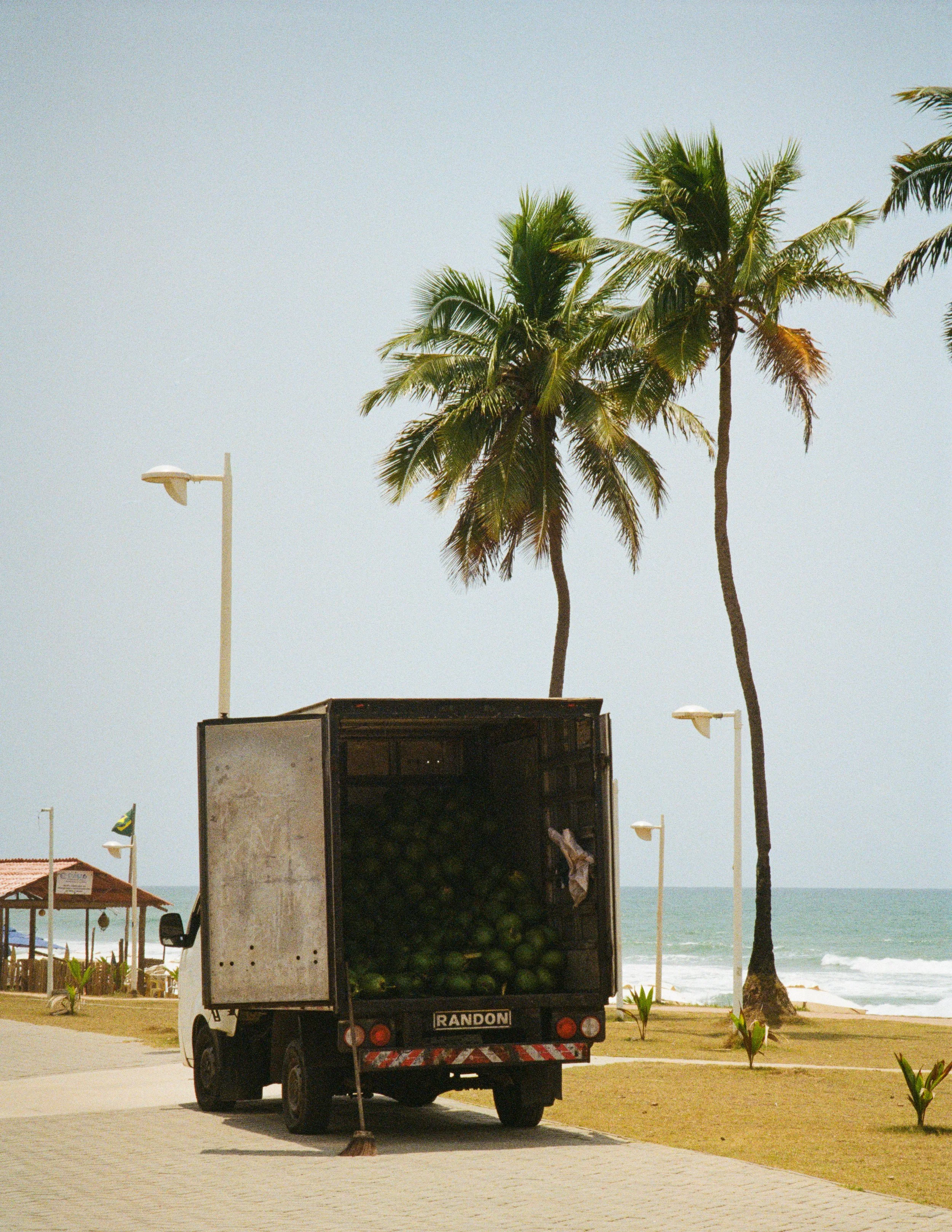 IMG_0729.jpeg
