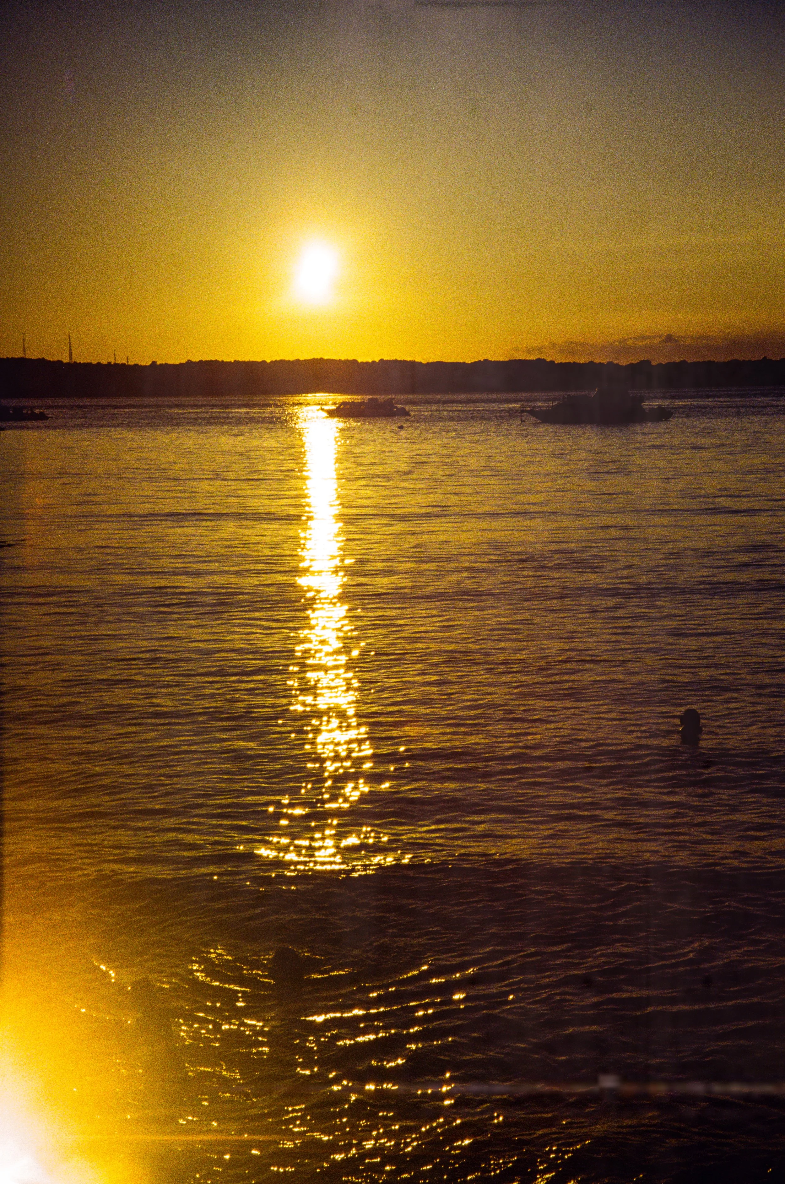 E17DD812-FD49-43E2-9FB1-1CC513304284.jpeg