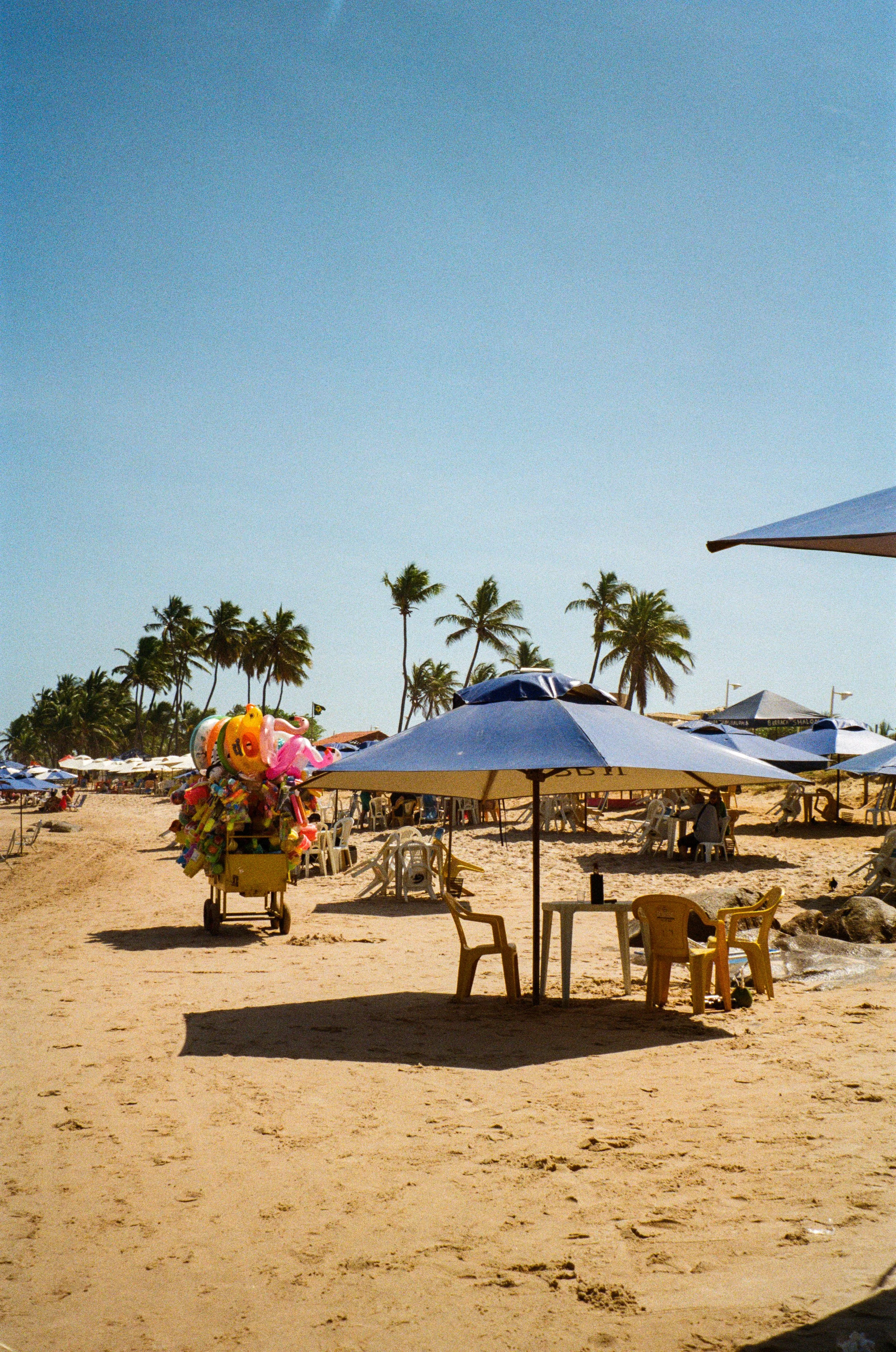 IMG_0723.jpeg