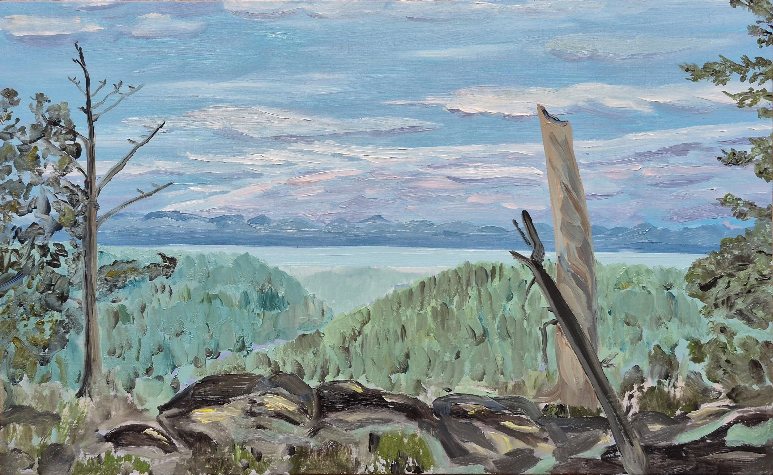 view from Mt. Braden near summit