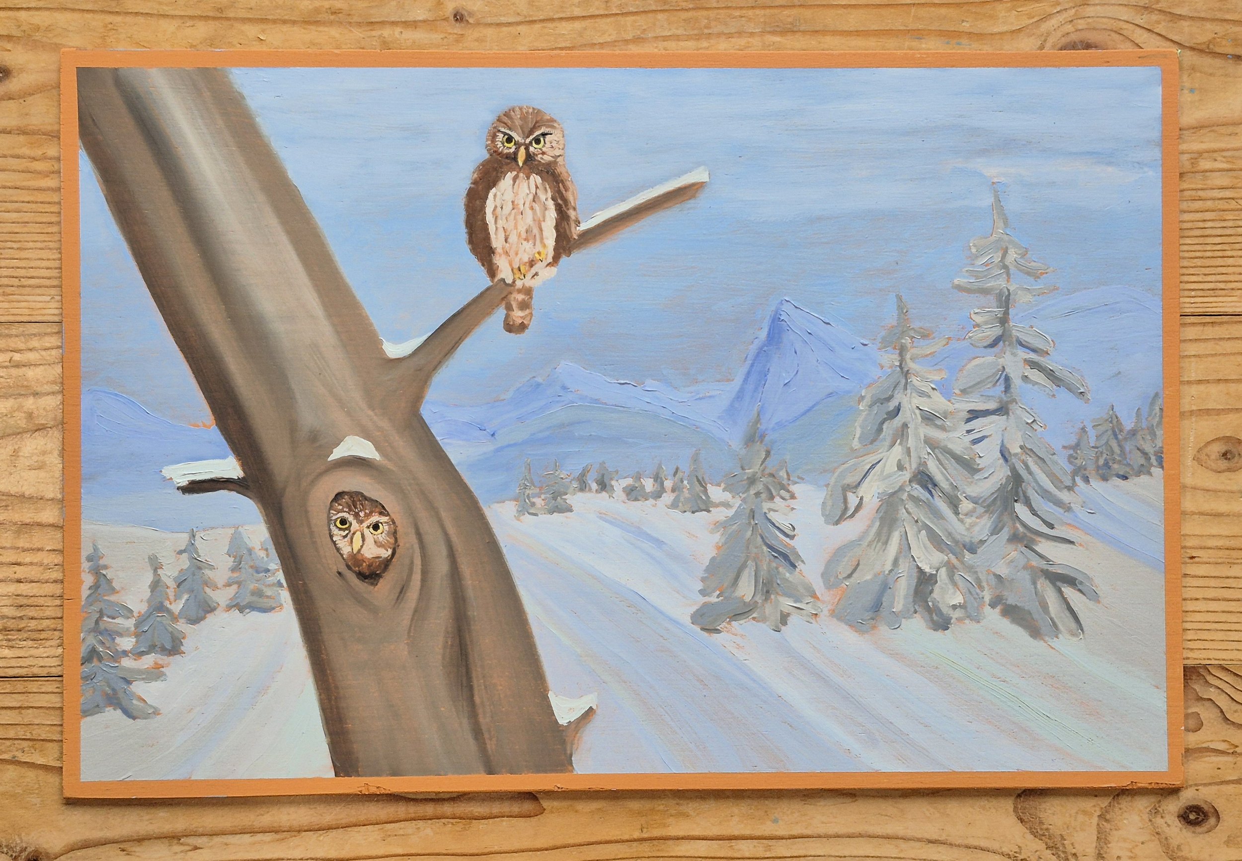 Pygmy Owls in the snow 