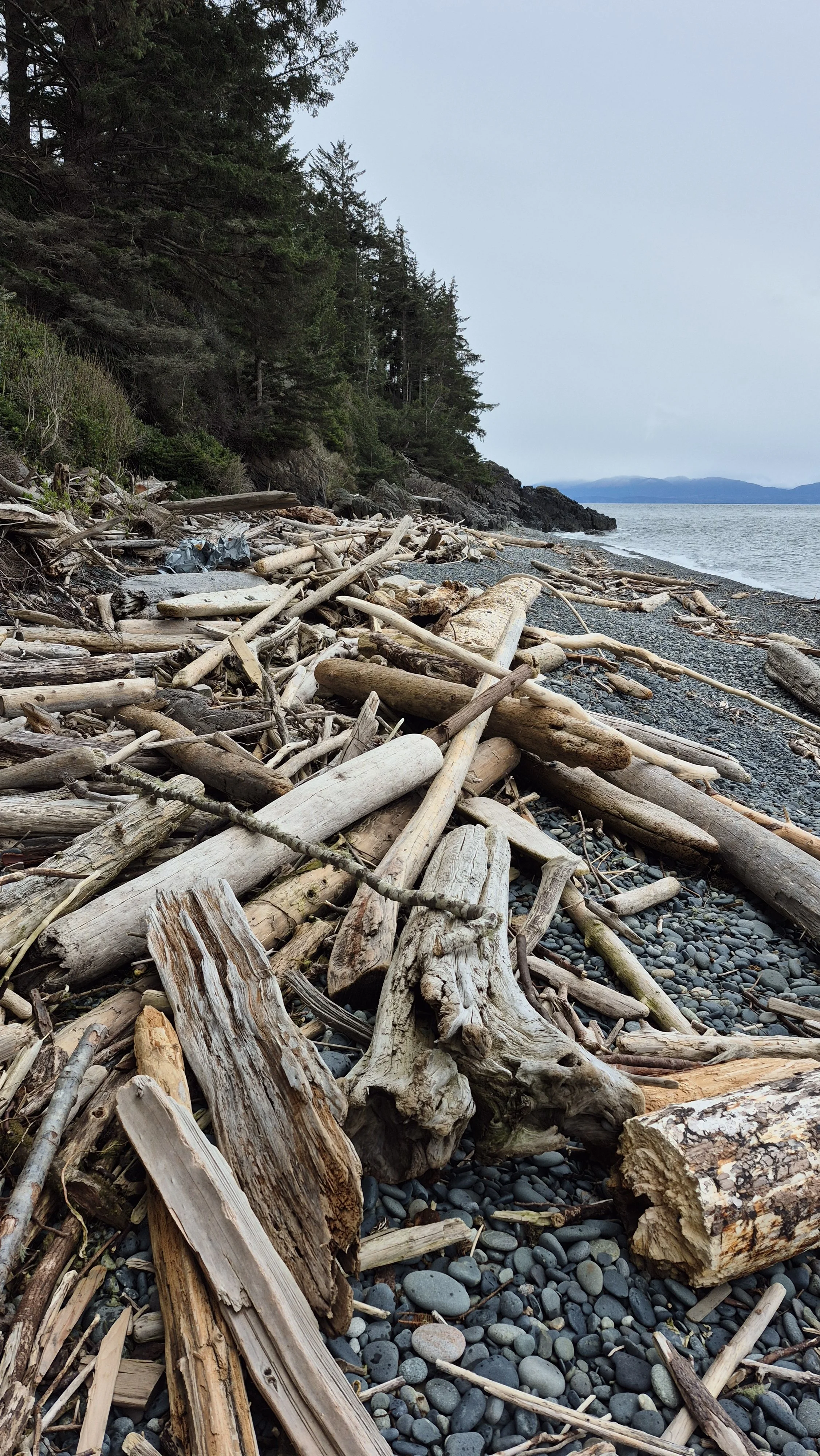 20260329_101120 (1).jpg