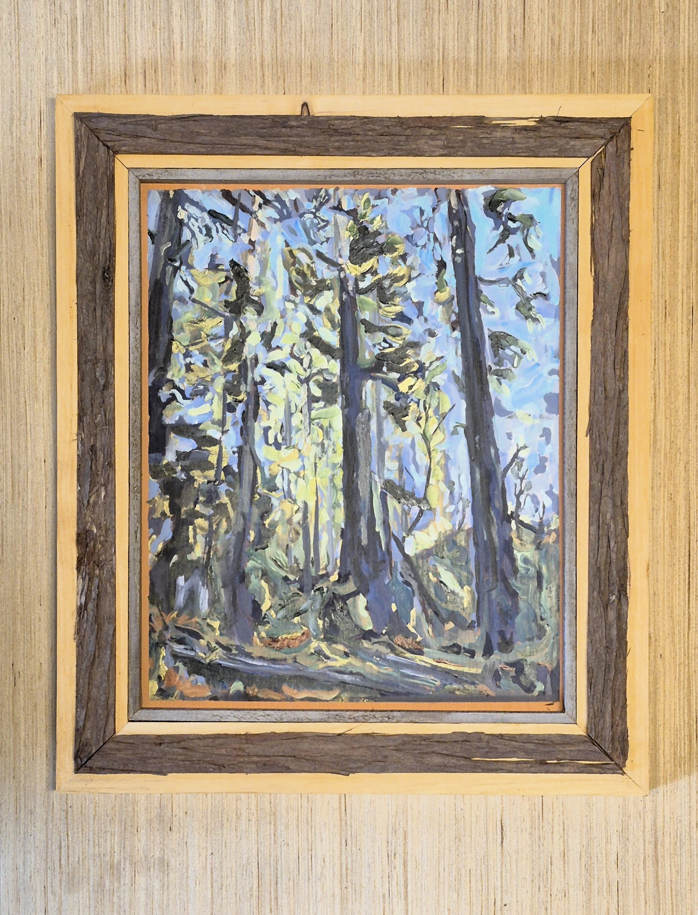 Hill Trees Backlit By Sunlit Trees -oil on board.  Here pine frame was given a golden translucent finish and rustic strips surround the painting and Cedar bark strips glued to the frame to tie the oil painting of cedar trees to the frame.
