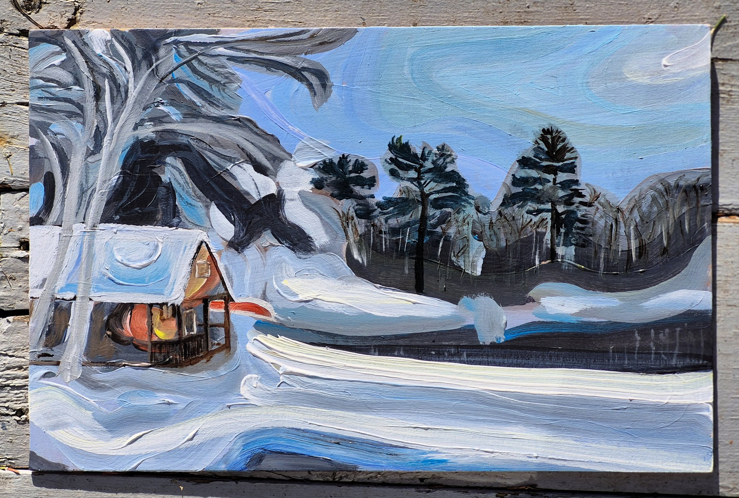 Sue's House Lake Couchiching