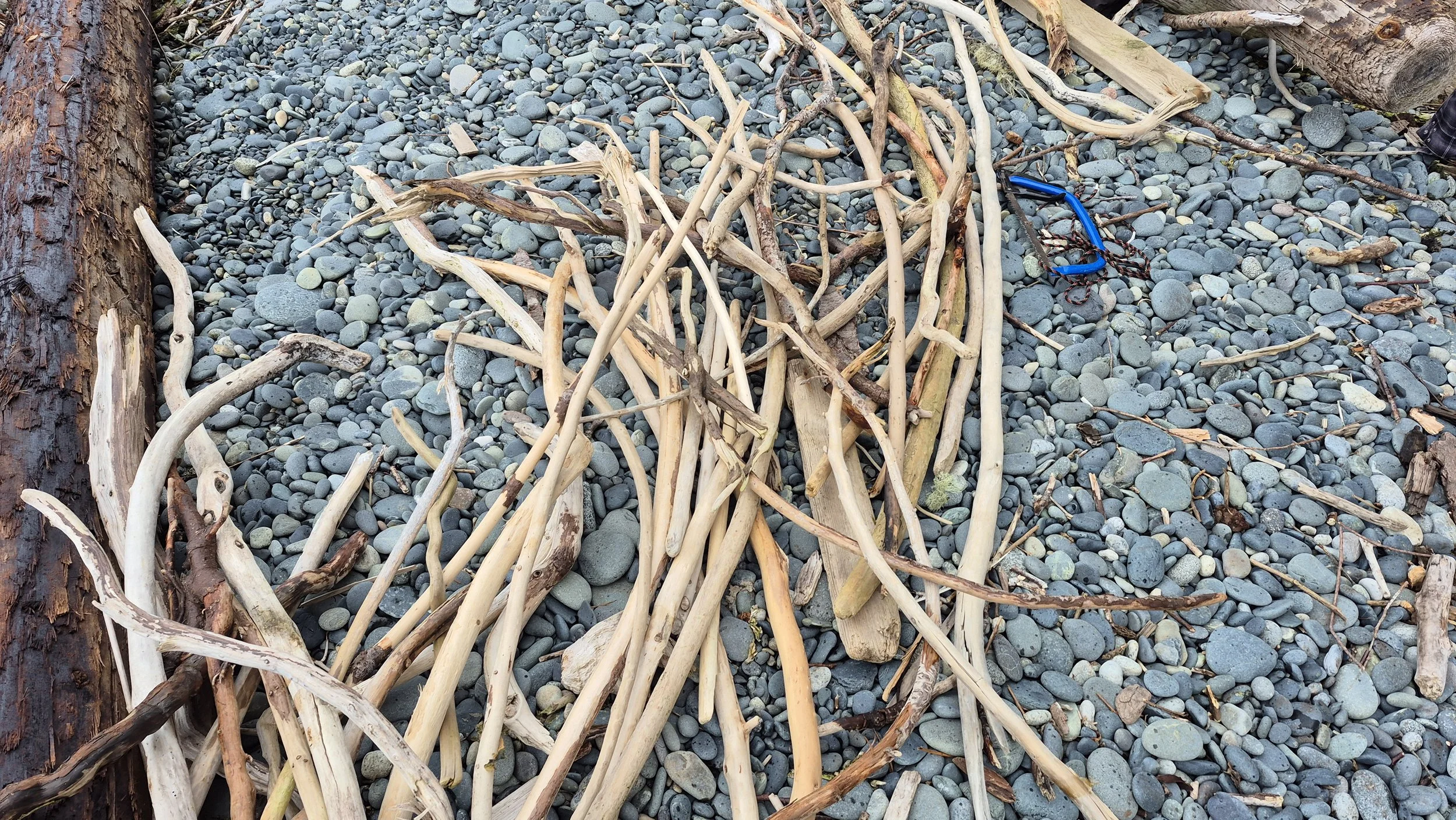 20260329_101107 (1).jpg