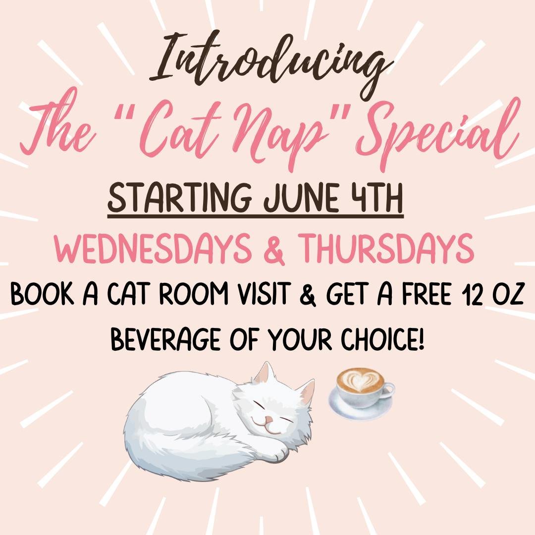 This time next week, you could be chillin' with our coooooooool cats and sippin' a FREE cooooool beverage! How does it get any better than THAT?

 #TheToebeanCatCafe #CatCafeMagic #SipAndPurr #SupportSmallBusiness #catsandcoffee #adoptdontshop #commu