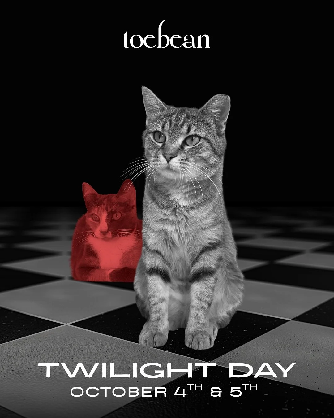 A huge THANK YOU to everyone who showed up for Twilight Weekend! We had a blast getting to nerd out with our customers and the cats loved the attention! So&hellip;
What Event Day would you guys like to see next?