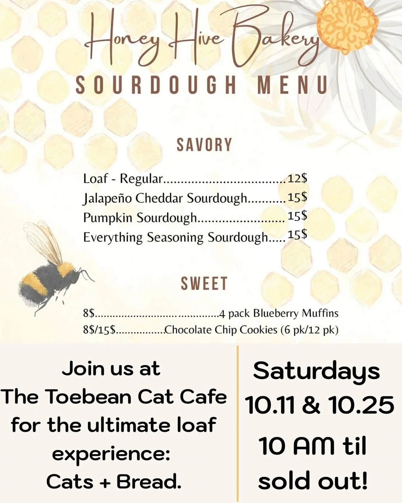 Saturdays, 10/11 and 10/25 we will have, not only cats loafing around per usual, we will have loaves loafing around too!! Come support a fellow veterinary professional baking her way through nursing school! Cats, coffee, and carbs! Yum!