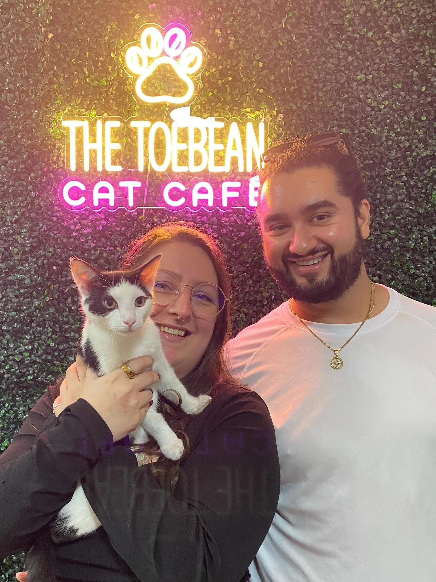 Adoption #82 is Colby from @h.e.a.r.t._rescue!! Adoption #82 is Steph&rsquo;s last foster of the trio, &ldquo;Monty,&rdquo; from @franklincountyvaanimalshelter 🥰
We love them all so much, and while it&rsquo;s hard to say &ldquo;goodbye&rsquo;&rdquo;