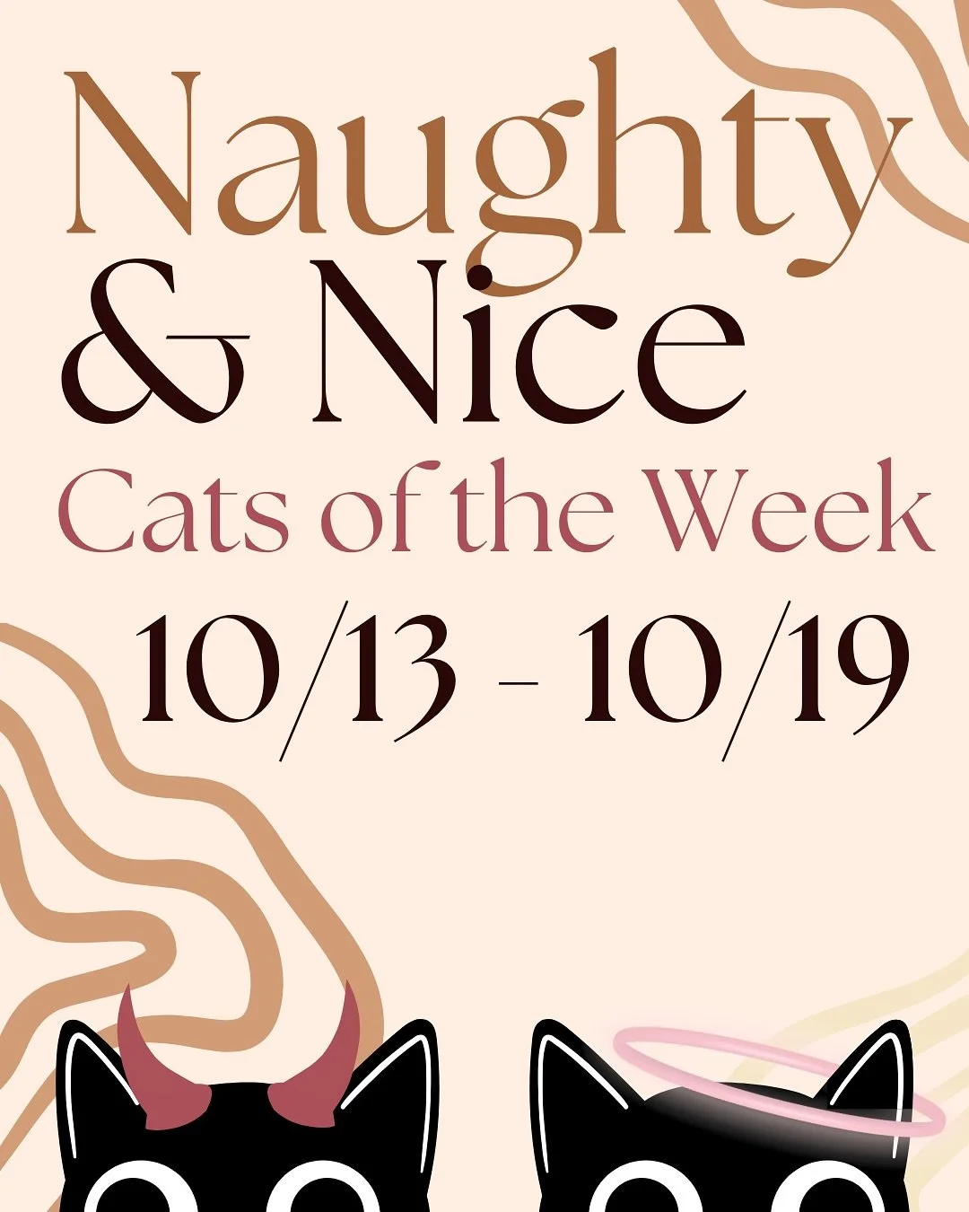 This week Ari solidified her spot as Naughty Cat with an ABUNDANCE of TORTITUDE. Bandit has been extra sweet and modeling her new Halloween bow tie! 

Book a reservation to meet them! 
Link in our Bio 🐾

#naughtyandnice #naughtycats #nicecats #cats 