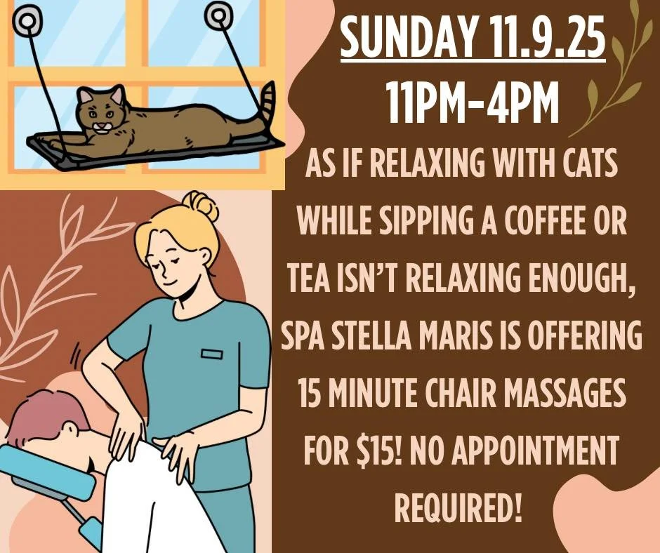 Treat yourself to cats, coffee, and a quickie (massage 🤣) on November 9th! Our friends from Spa Stella Maris will be set up to offer 15 minute chair massages. We thought we&rsquo;d offer one more element of relaxation at The Toebean Cat Cafe.