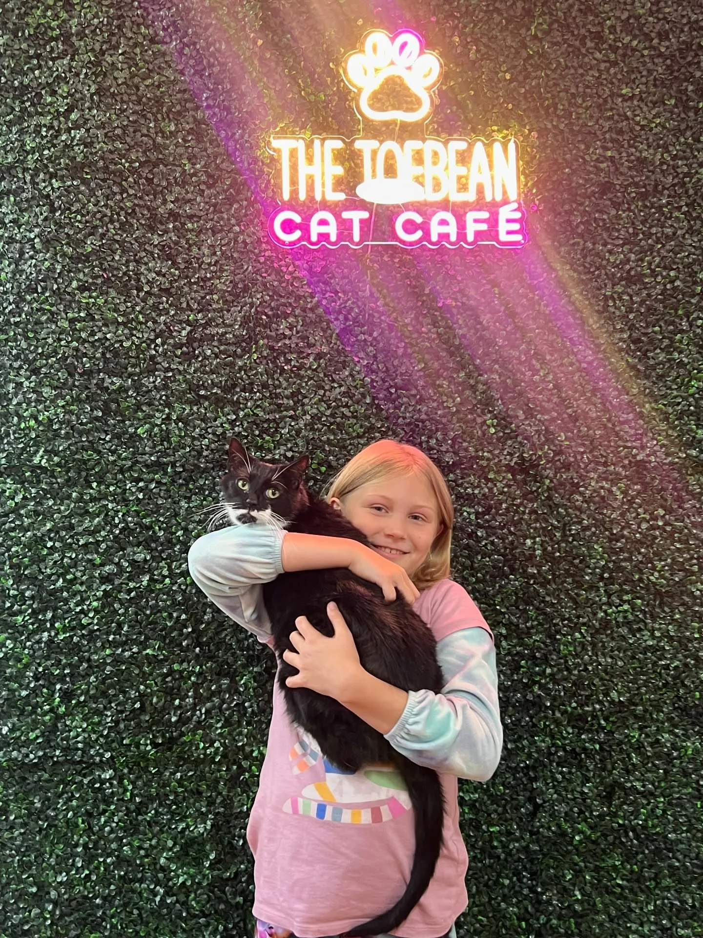 Adoption #87 is Church! This sweet, extra-cuddly boy is off to a good home with his new best friend! 

#adoptdontshop❤️ #cats #toebeancatcafe #catscatscats