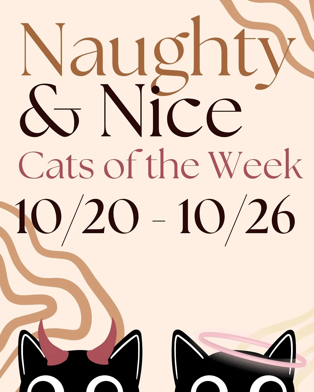 This week Milo, one of our newest boys, is our Nice cat. He can be a bit shy hiding behind the couch in Strawberry room, but he loves laying in the sun and getting pet when he comes out! Turny gave me gray hairs. 

Come visit Milo &amp; Turny in the 