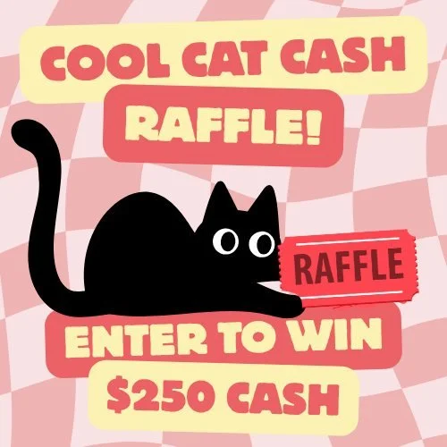 Don't forget to enter our raffle to win $250 cash!! The raffle drawing is November 29th at 2pm, so don't wait! 
You can get tickets by:
- Visiting and saying hi!
- Purchasing food or a drink
- Visiting the cat rooms
- And adopting a cat

 #kittens #c