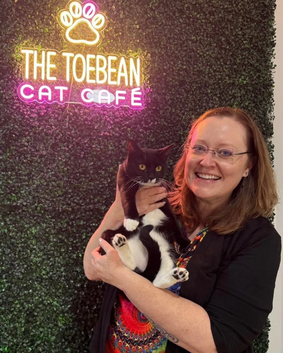 Today we sent THREE kitties to their forever homes!!! 

Adoption number 92 is Dolly Parton from Star City TNR and Rescue star_city_tnr. She went home with one of our longtime supporters and is already making herself at home! See pic!

Adoptions 93 an