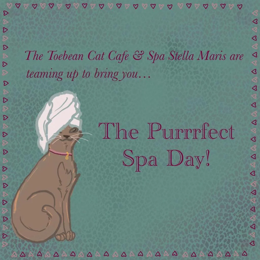 Stressed?!?!?? Tomorrow only at The Toebean Cat Cafe, come in and get &ldquo;pampurred&rdquo; like you deserve! Spa Stella Maris is adding a whole new level of relaxation to an already relaxing experience!

$30
30 minute cat room visit
15 minute chai