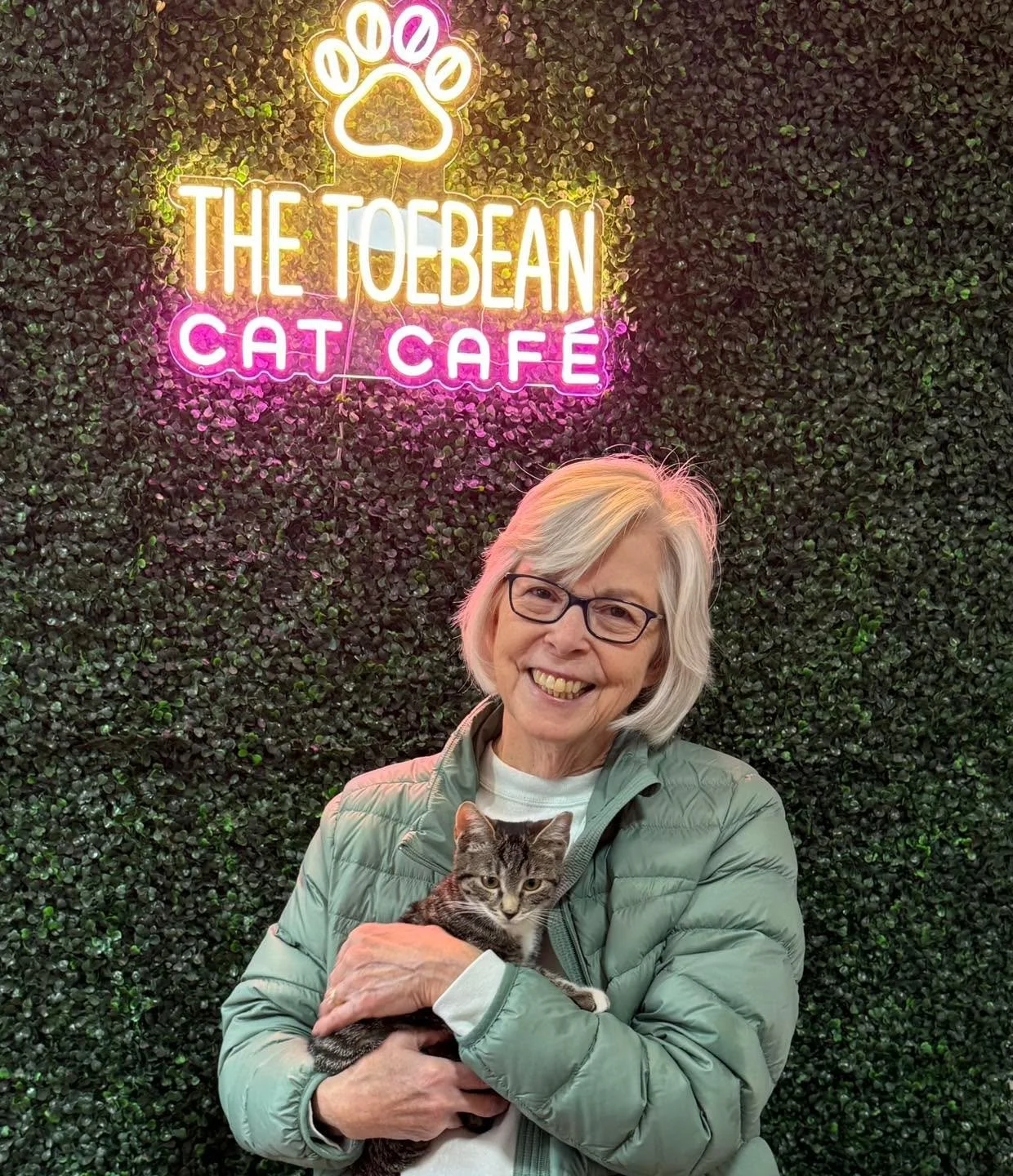 &ldquo;Bitty Biscuit&rdquo; had a very rough start to her life. Despite being abused and suffering head trauma, she is the sweetest little girl and she now will have a life she deserves! Adoption number 96 in the books!!! Bitty Biscuit from frcoanima