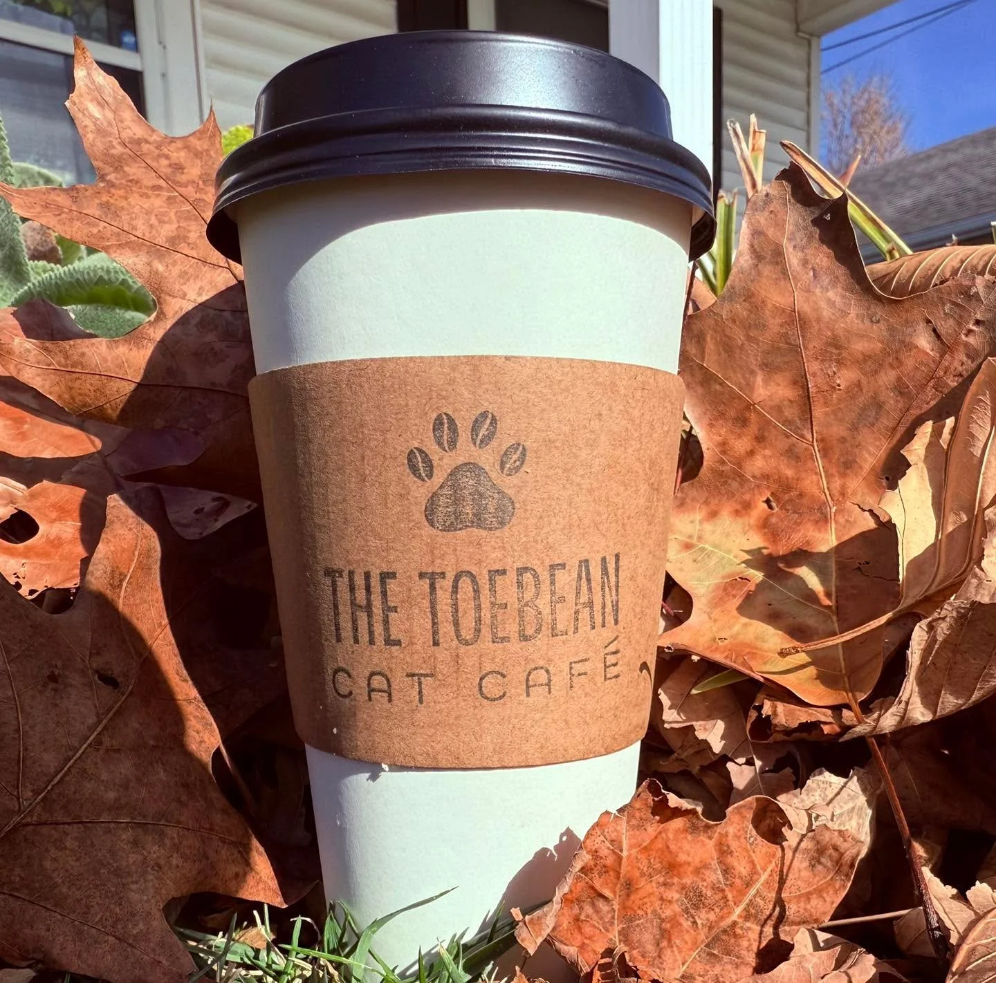 On a beautiful day like today, our Earl Grey tea hits just right! Come by and snag yours!