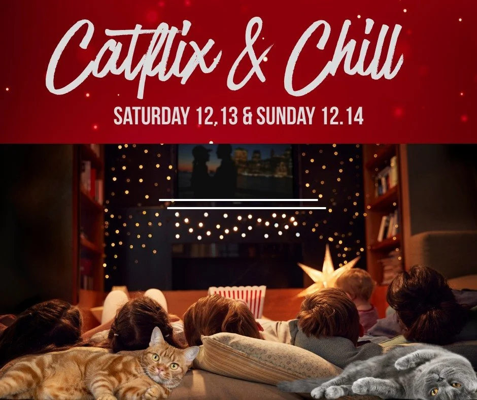 ❄ Cats + holiday vibes + cozy drinks = the weekend you deserve ❄

Join us this Saturday and Sunday as we turn our cat rooms into full-on holiday hangout spots. The tree is lit, the drinks are festive, and the cats are catting!

If you&rsquo;ve been w