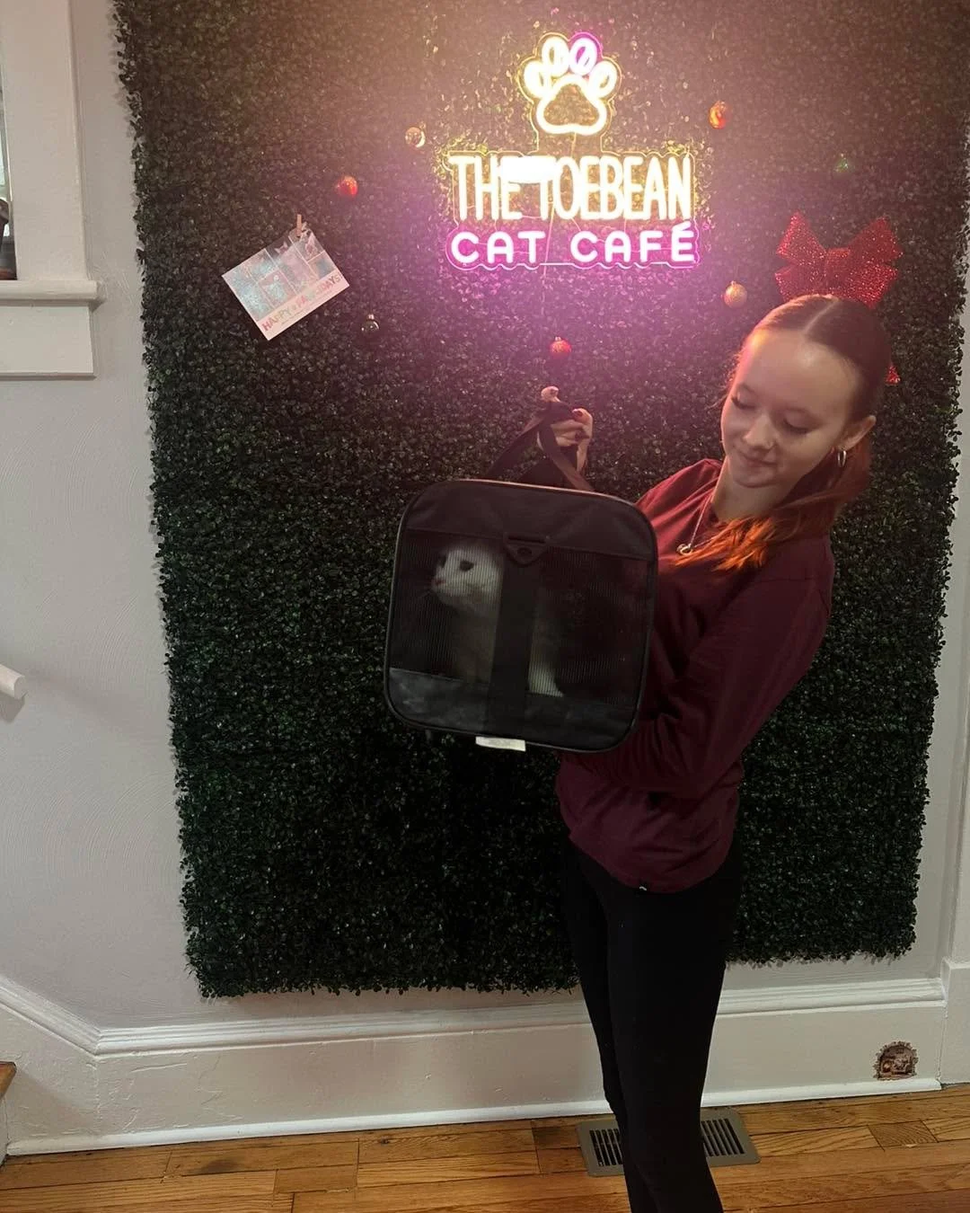 Happy Holidays indeed! We sent FOUR kitties to their forever homes over the past two days! Adoptions 108-111 are:

(108) Lapis from Star City TNR and Rescue star_city_tnr (109 ) Marigold, (110) Charlie, and (111) Skittles from franklincountyvaanimals