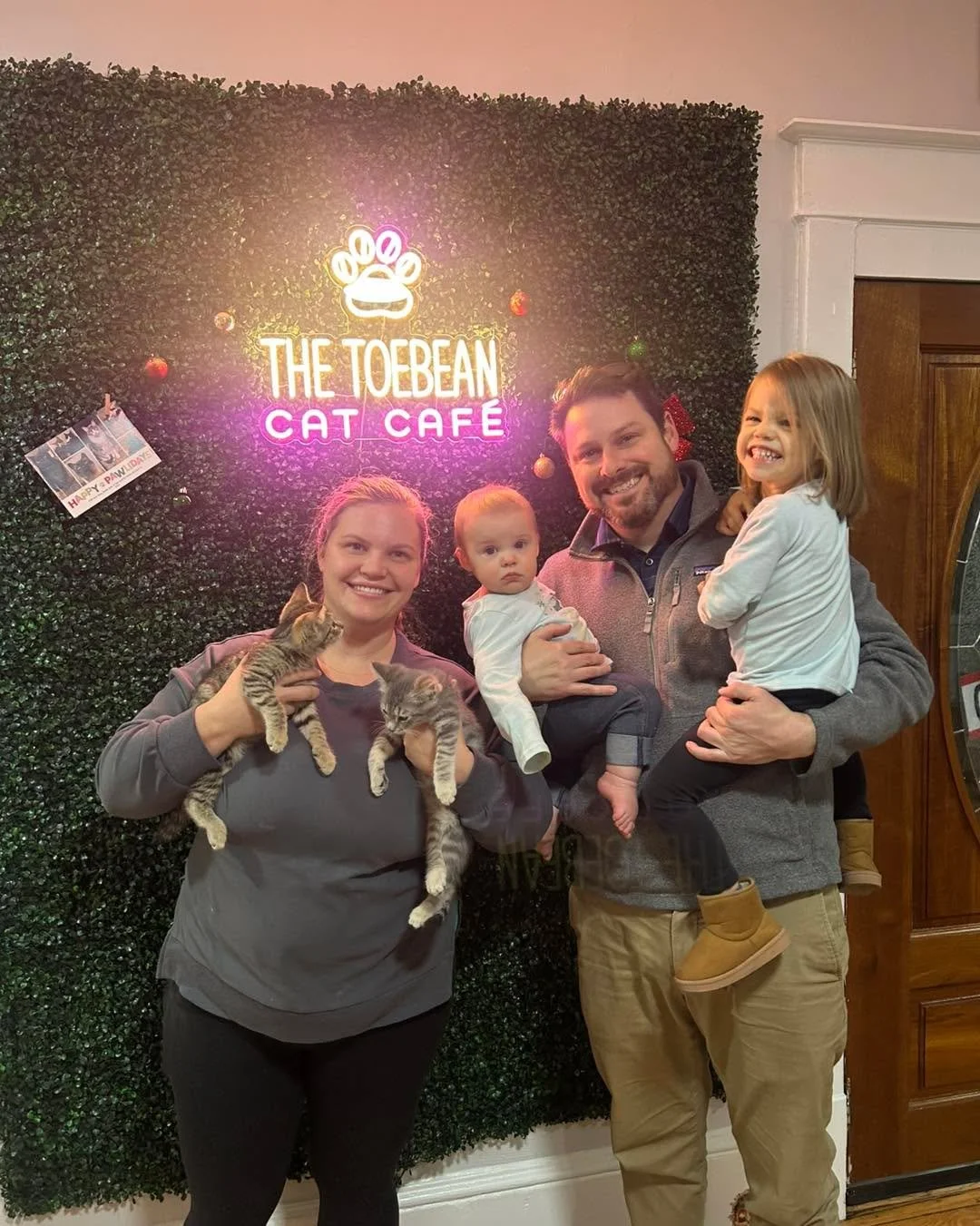 Adoptions number 112 and 113 are &ldquo;Sugar&rdquo; and &ldquo;Cookie&rdquo; from star_city_tnr star_city_tnr!! A follower sent us a message awhile back asking if we could help these kittens. Since they weren&rsquo;t old enough to come to the cafe, 