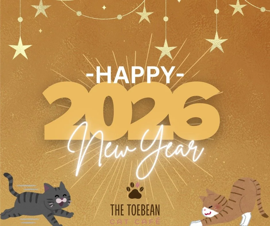 It's a new day of a new year! Purrfect time to chill with cats. They say what you spend your time doing on New Year's Day is the theme of your entire year! Choose wisely. We are open until 4pm today!

www.thetoebeancatcafe.com