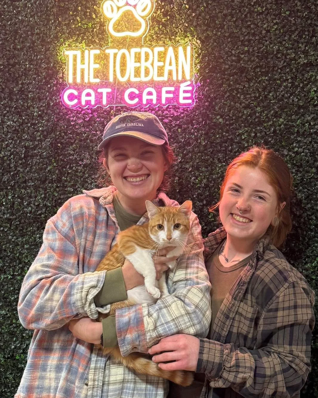 Adoption # 116 is Tigger from frcoanimalshelter franklincountyvaanimalshelter! Tigger loved playing with Captain Hook and Captain Hook left earlier this week so it was perfect timing!