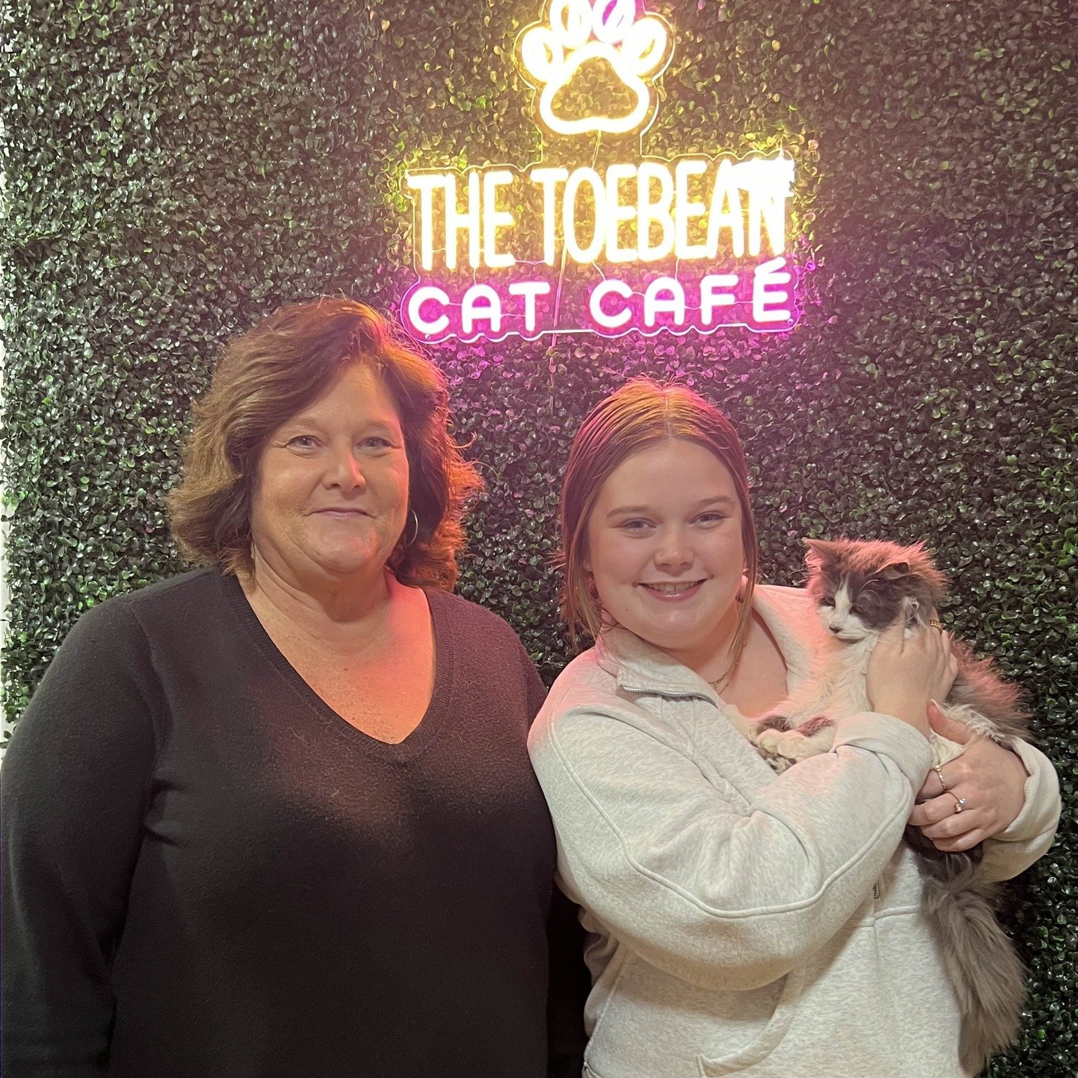 🎉 **Twizzler has been adopted!** 🎉

She is adoption #120 from @franklincountyvaanimalshelter Franklin County VA Animal Shelter. She was with us for only a few short days before being adopted into her forever home!

We&rsquo;re so happy for this swe