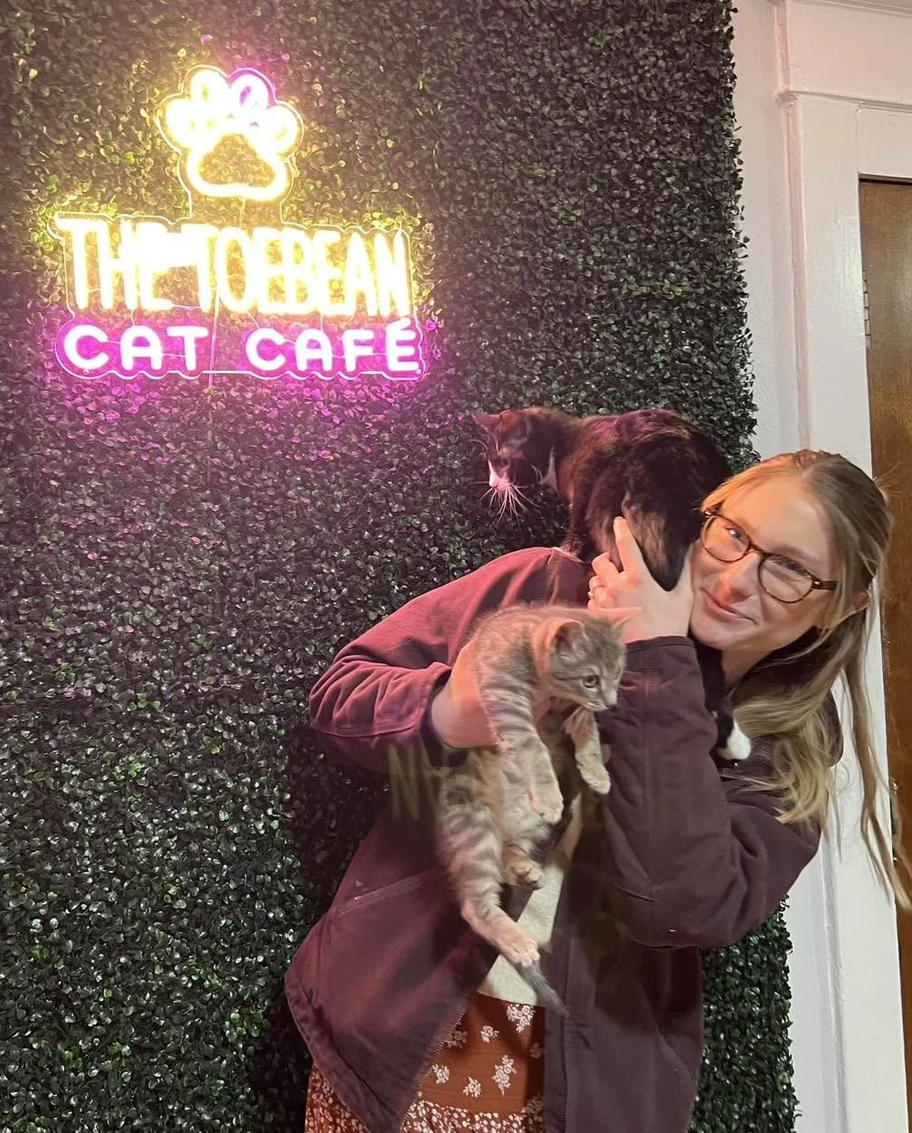 Right before snowpocalypse, we send home two more kitties! They&rsquo;ll get to cuddle up with their person and get super cozy for the weather! Adoptions #123 and #124 are Miller and Spud from Star City Cat Rescue star_city_cats  Miller took little S