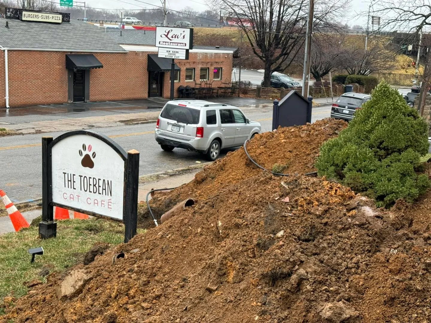 We know our yard looks scary, but it&rsquo;s still business as usual! (We had some plumbing work done). Come visit our cozy cats and sip on a warm beverage!